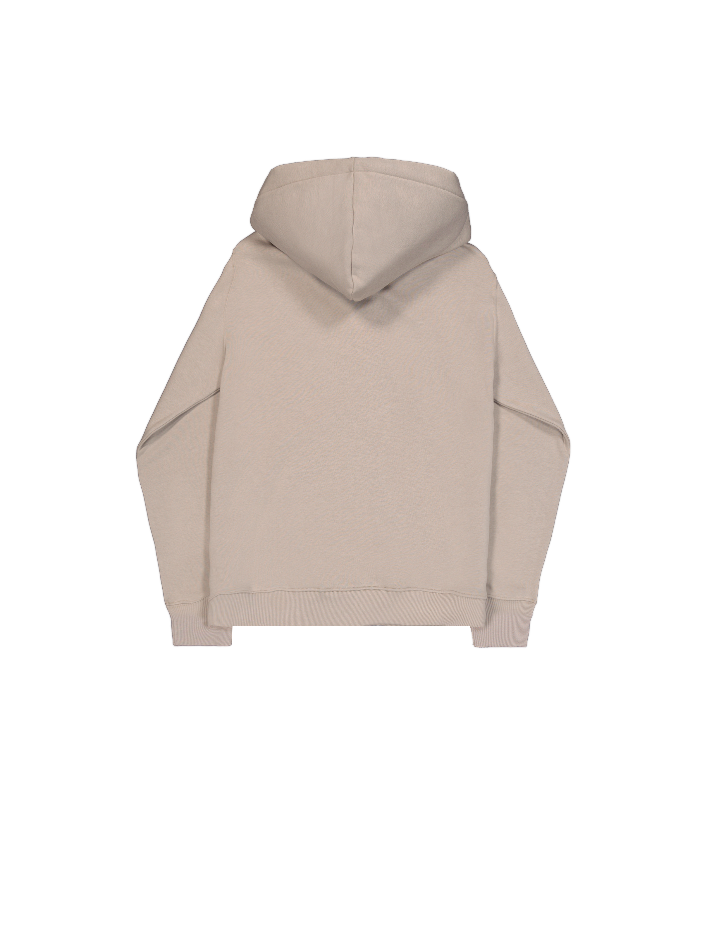 Basic Big Logo Zip Hoodie vintage sand 178325_679_1_flatlay_00002_102801