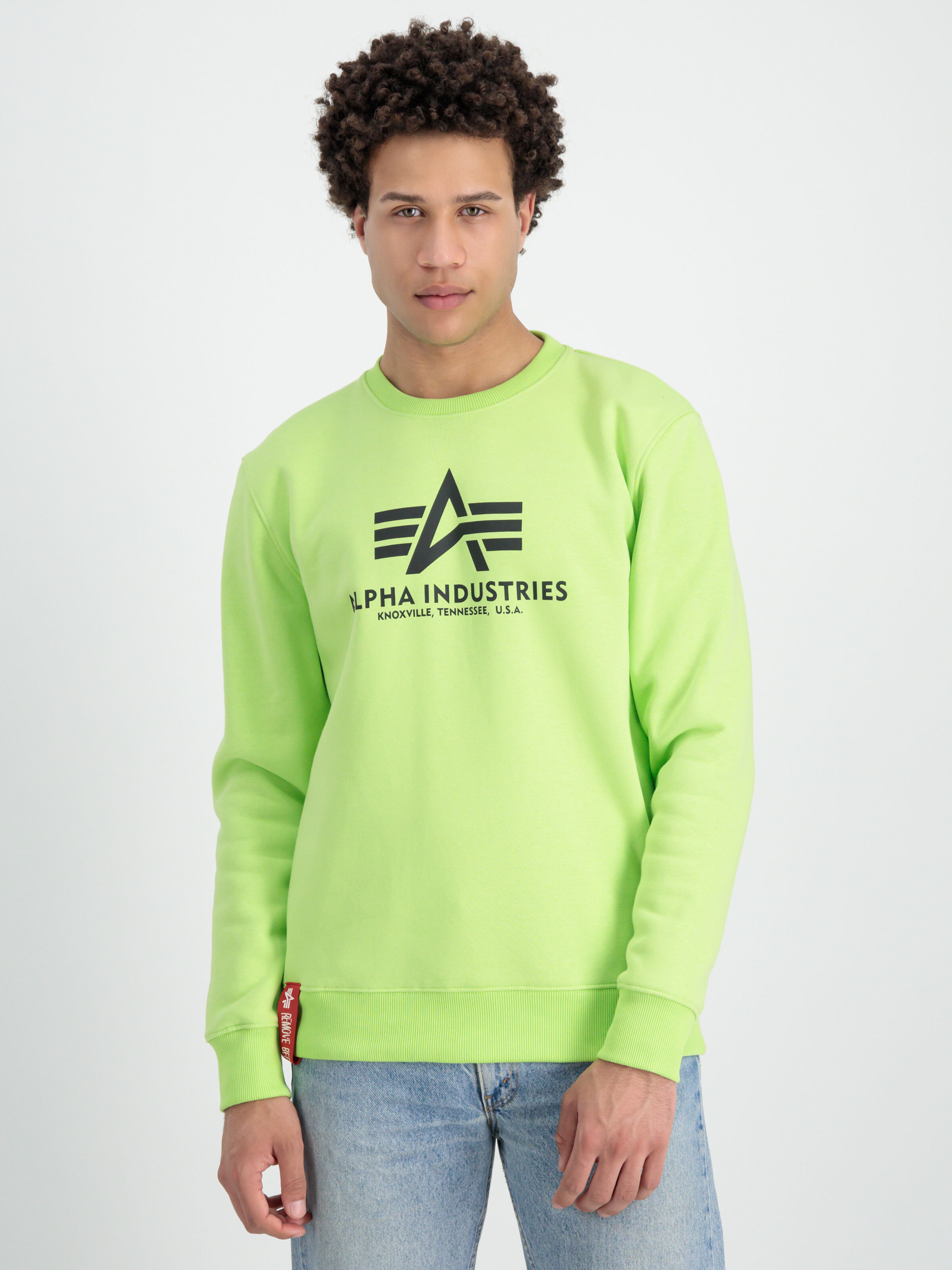 Basic Big Logo Sweatshirt hornet green 178302_698_alpha_industries_basic_sweater_00001_182738