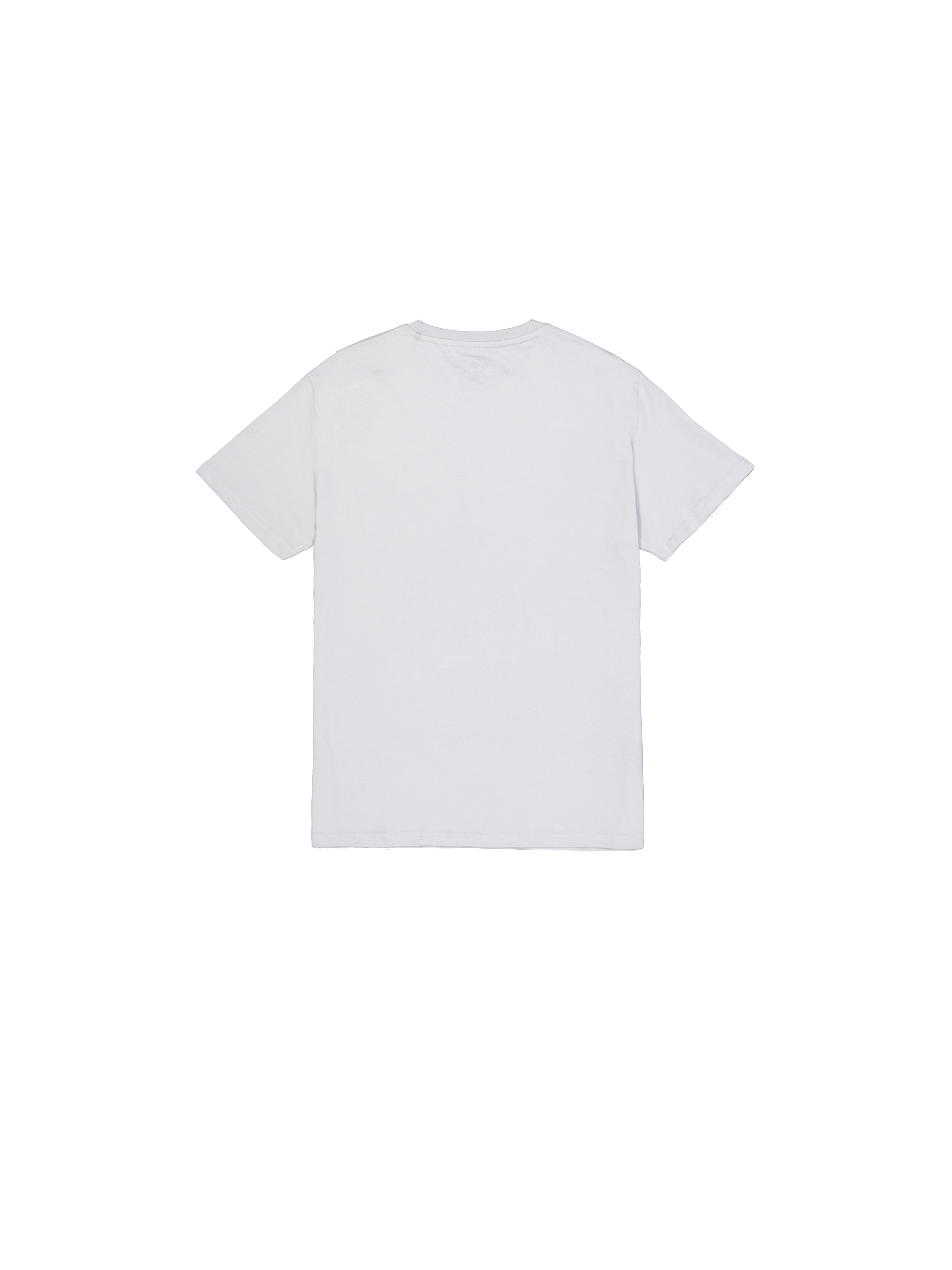 Basic Big Logo T-Shirt pastel grey 100501_666_1_flatlay_00002_102630