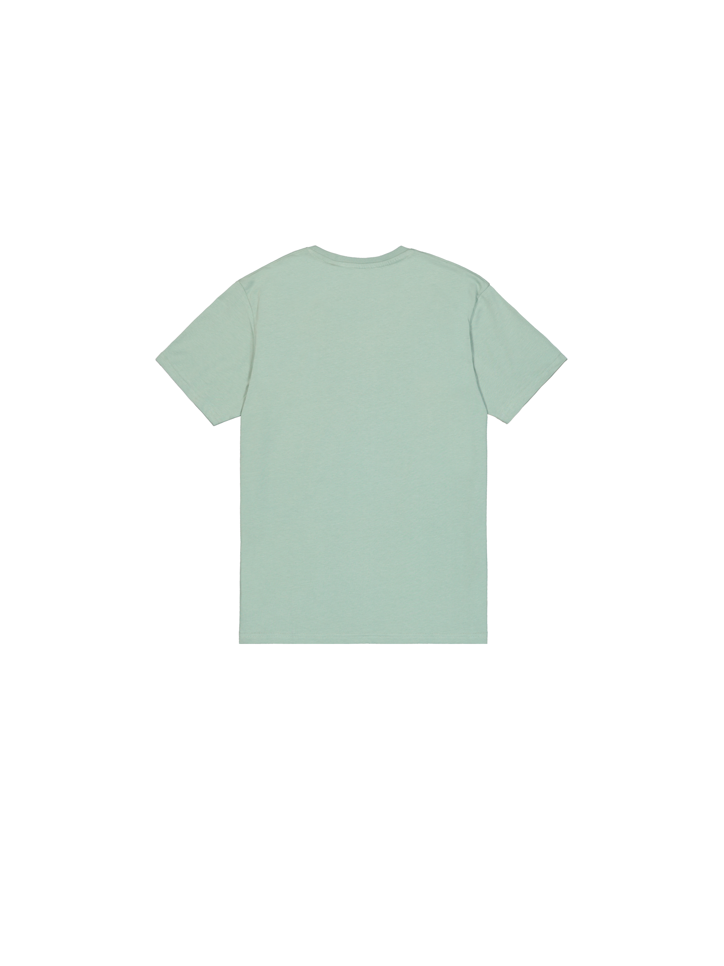 Basic Big Logo Rubber T-Shirt dusty green 100501RB_680_1_flatlay_00002_222729