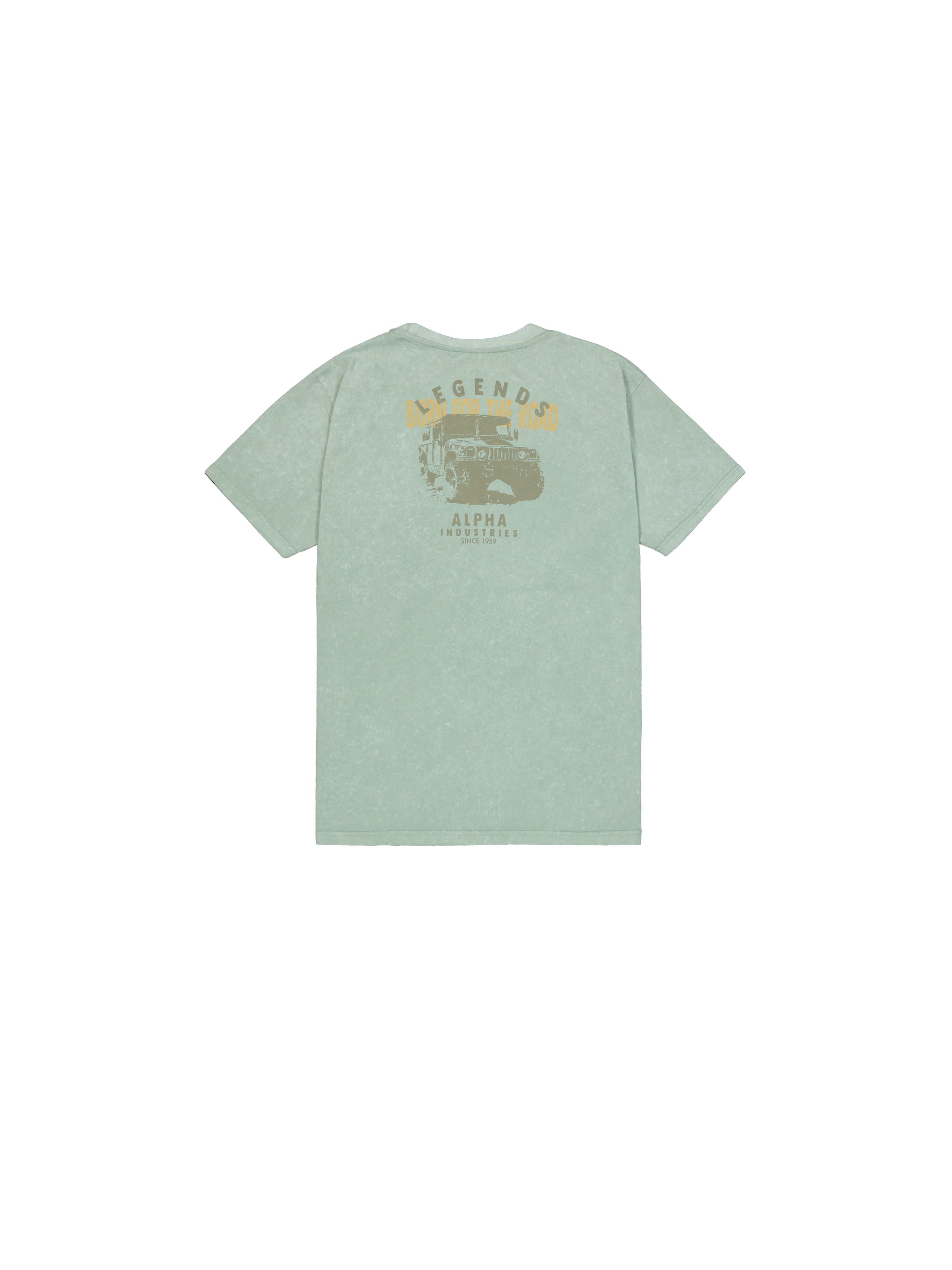 Alpha Legend T-Shirt frost green 266520_30_1_flatlay_00002_209995