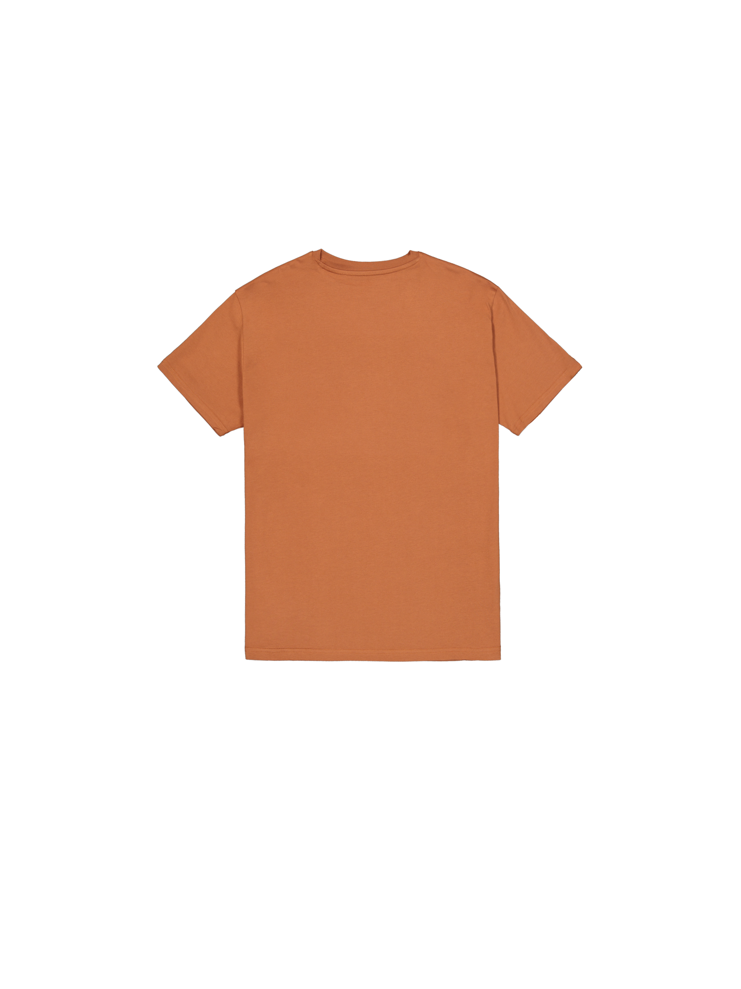 Basic Small Logo T-Shirt hazel brown 188505_709_1_flatlay_00002_223152