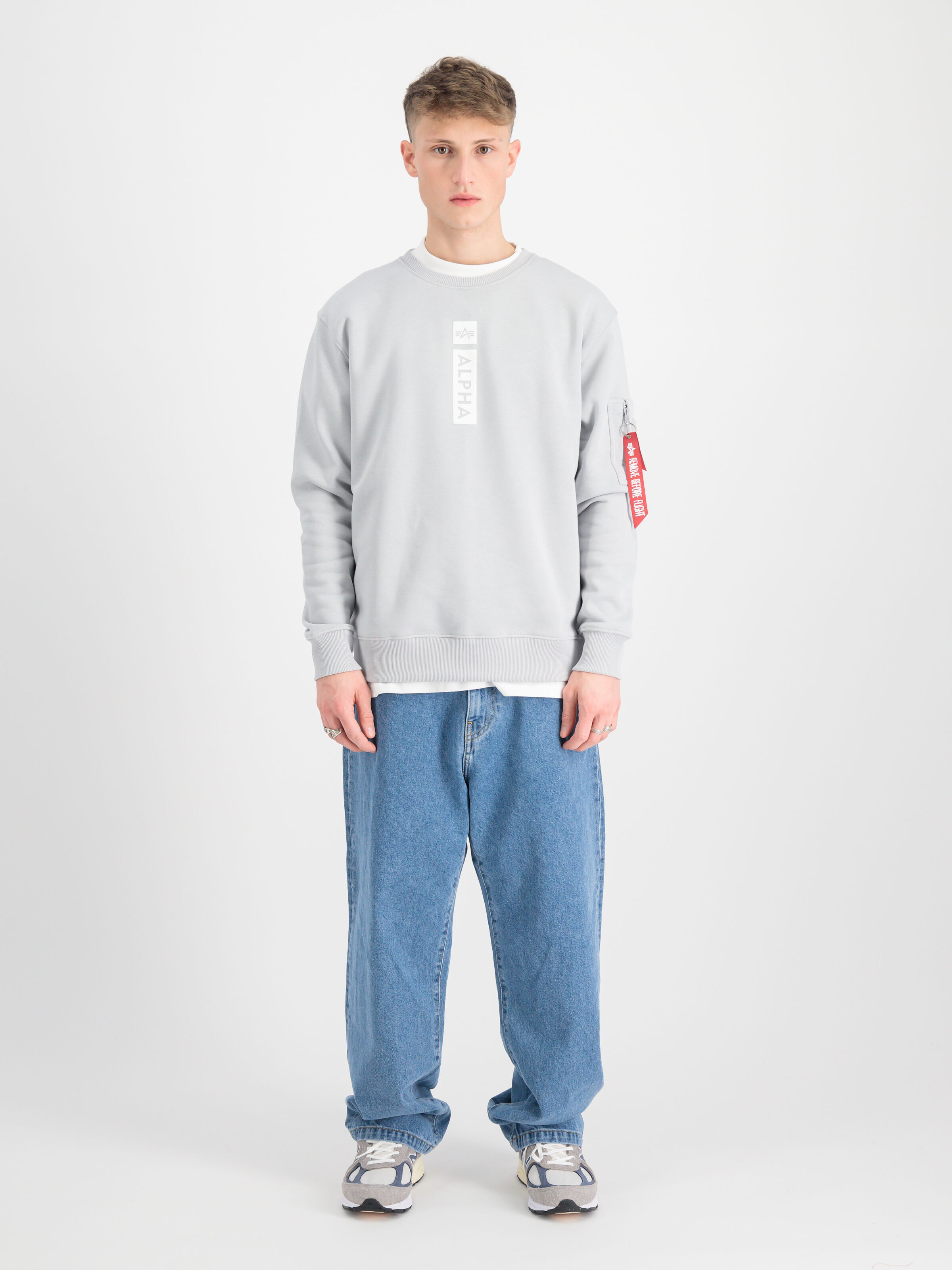 Alpha Puff Print Sweatshirt pastel grey 146305_666_2_model_00001_152699
