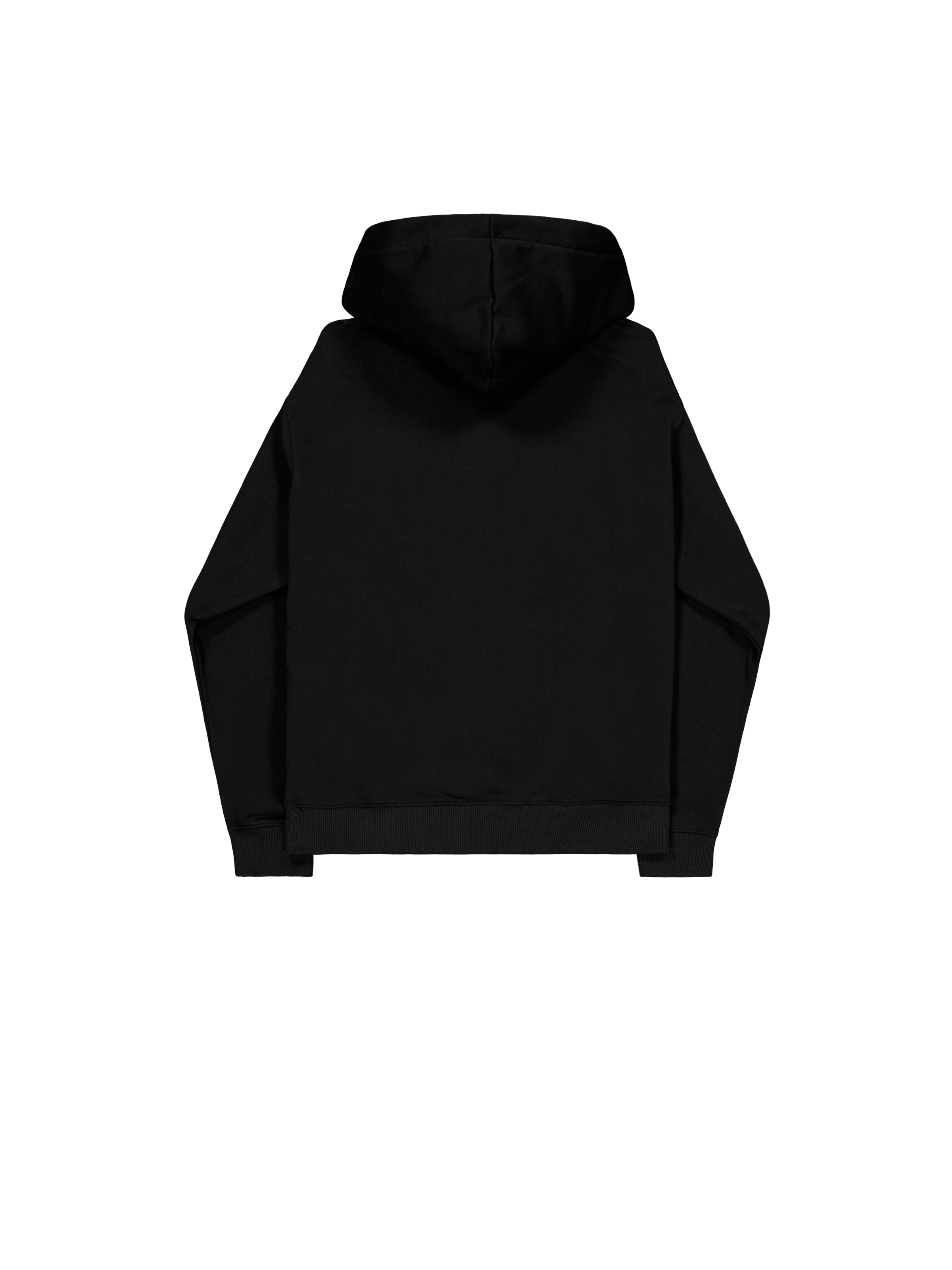 DTM Alpha Hoodie black 266349_03_1_flatlay_00002_191897