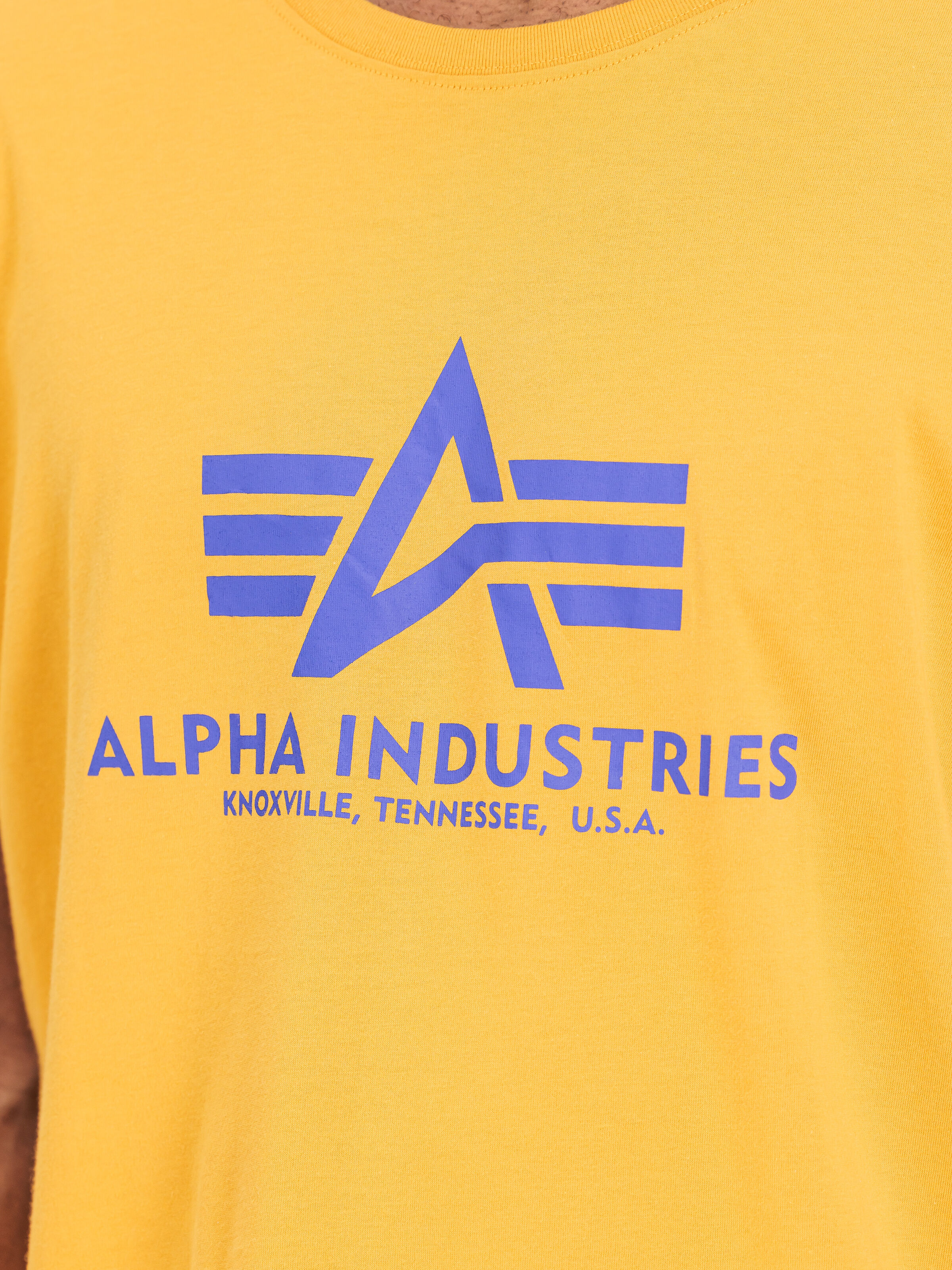 Basic Big Logo T-Shirt wheat/blue 100501_776_3_detail_00001_226474