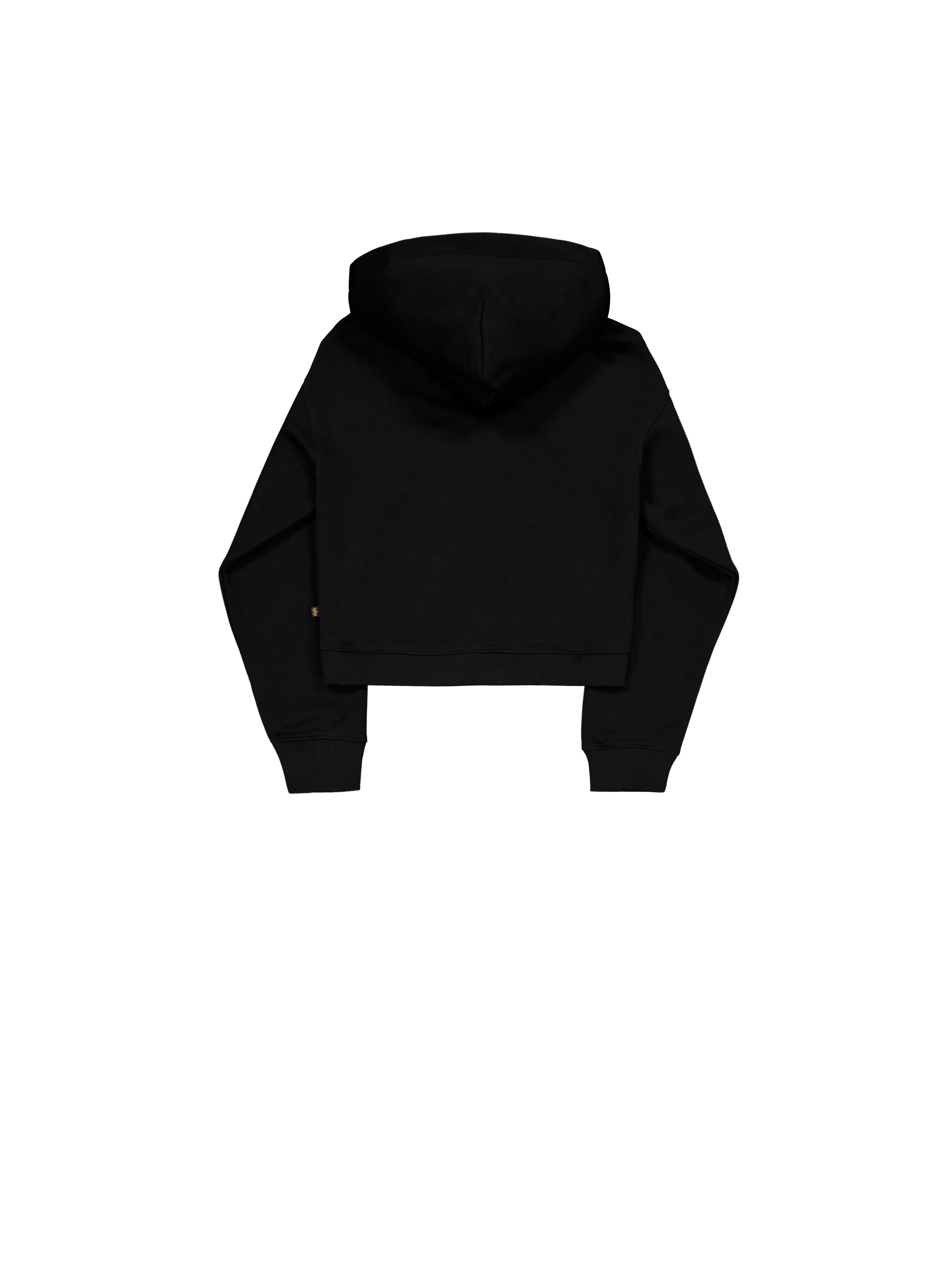 Basic Big Logo Puff Print Hoodie Women black 258040_03_1_flatlay_00002_165822