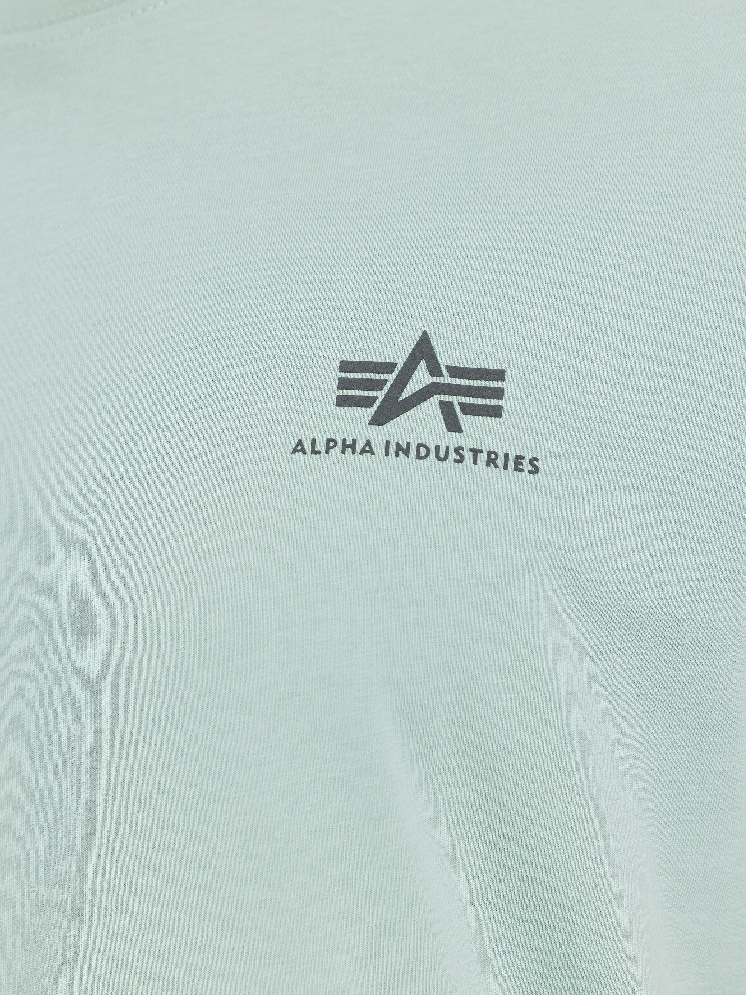 Basic Small Logo T-Shirt dusty green 188505_680_3_detail_00001_213705