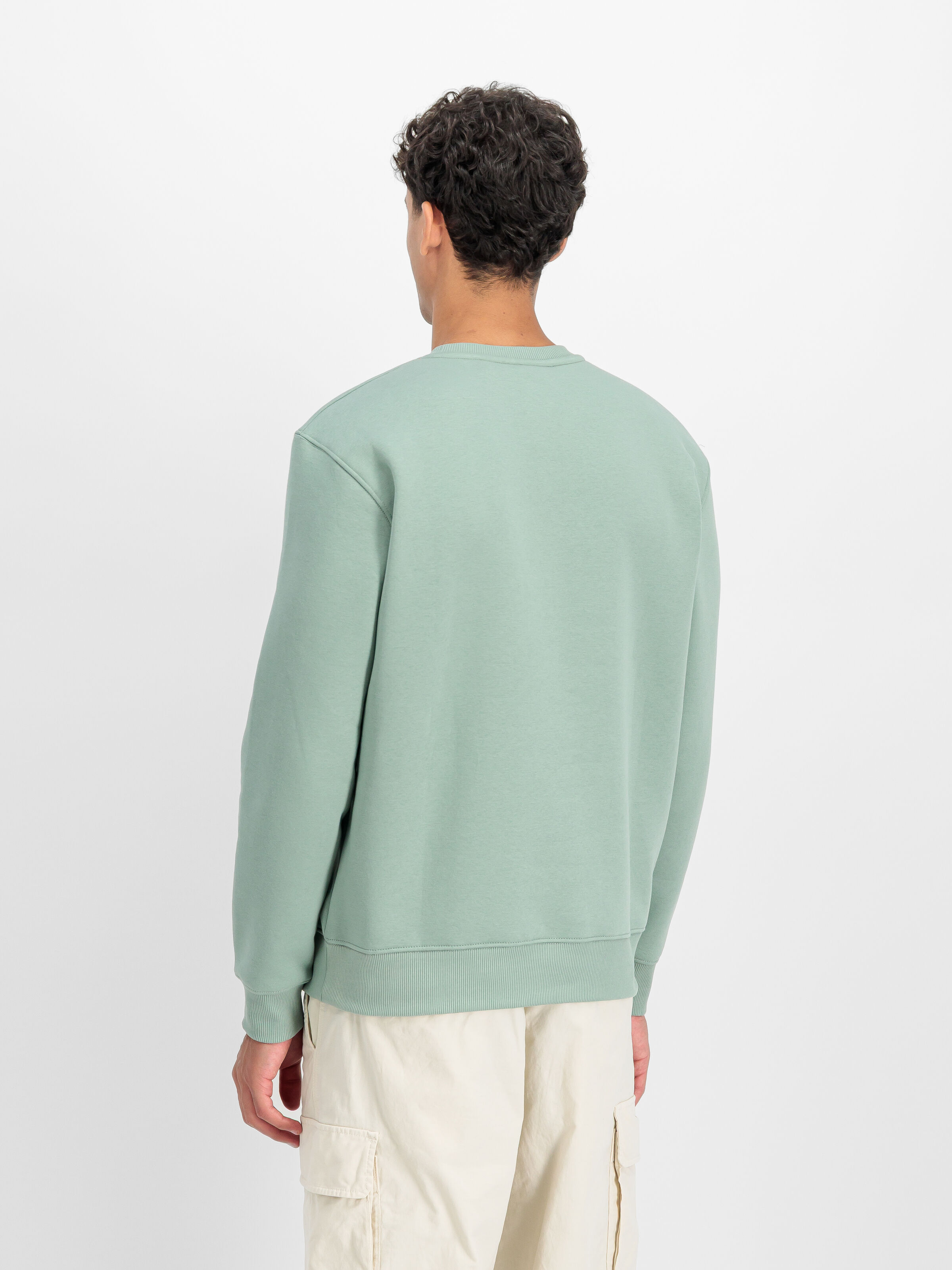 Basic Small Logo Sweatshirt frost green 188307_30_2_model_00003_196460