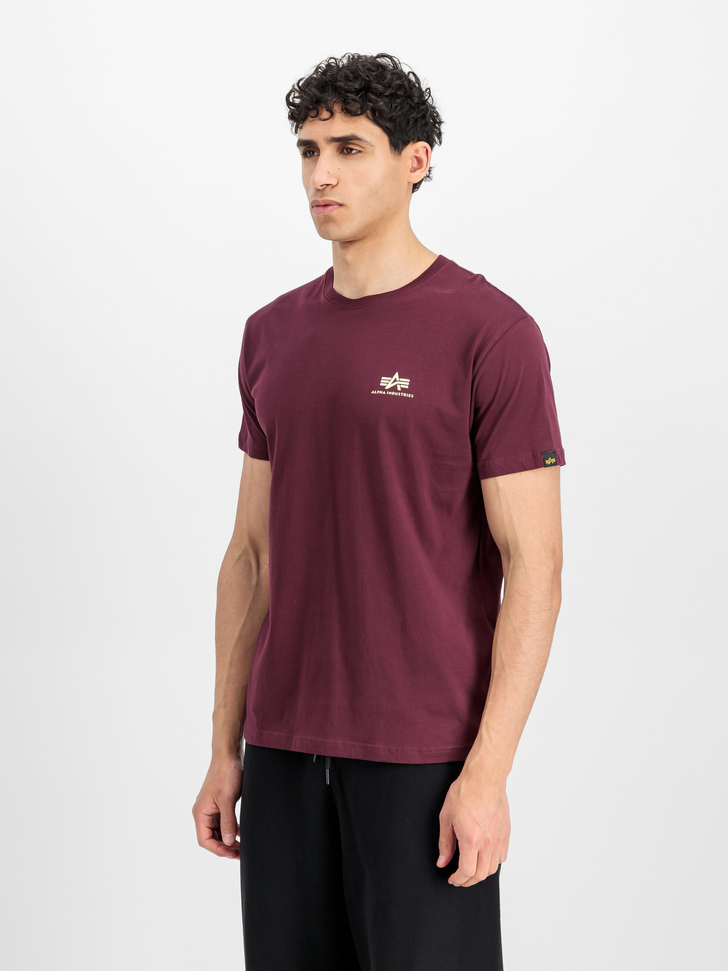 Basic Small Logo T-Shirt dark cherry 188505_608_2_model_00002_166742