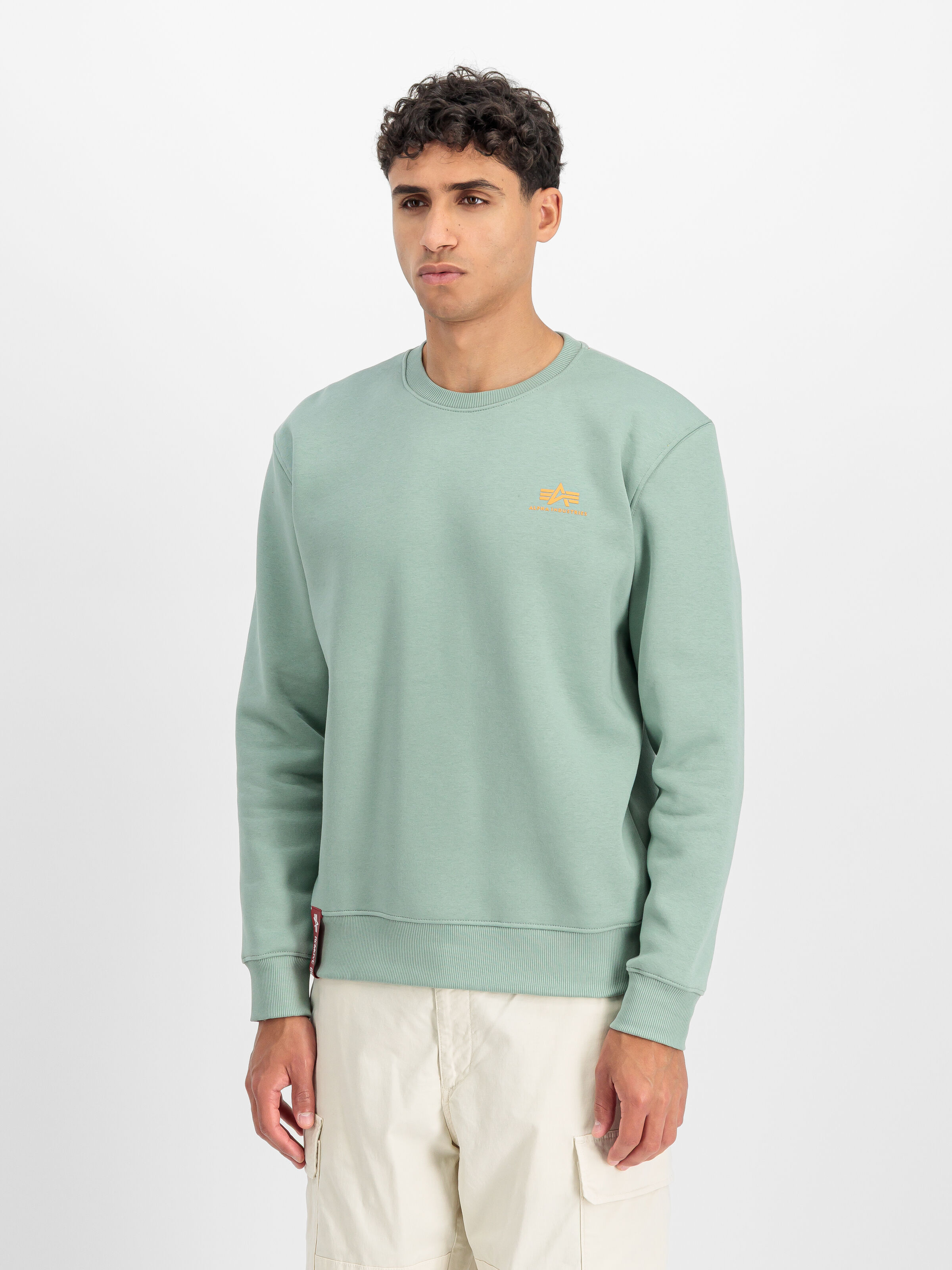 Basic Small Logo Sweatshirt frost green 188307_30_2_model_00002_196459