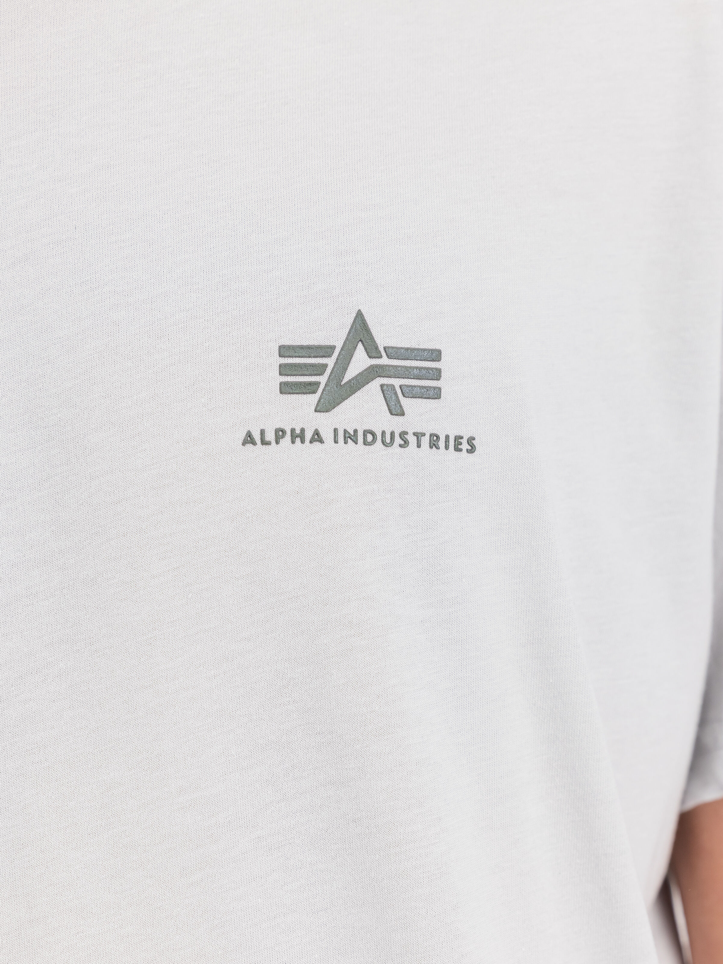Basic Small Logo T-Shirt pastel grey 188505_666_3_detail_00001_122557