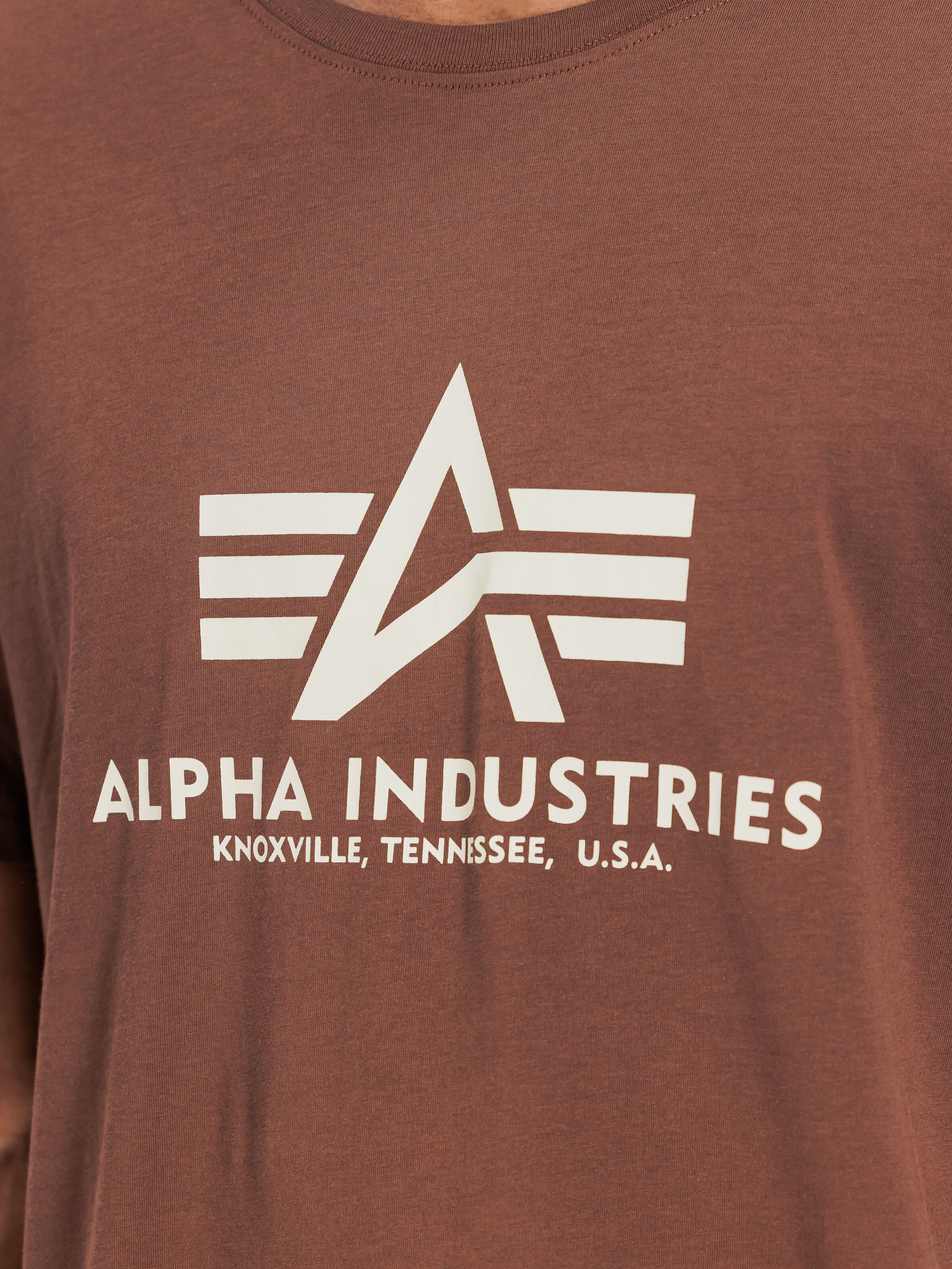 Basic Big Logo T-Shirt powder brown 100501_204_3_detail_00001_226369