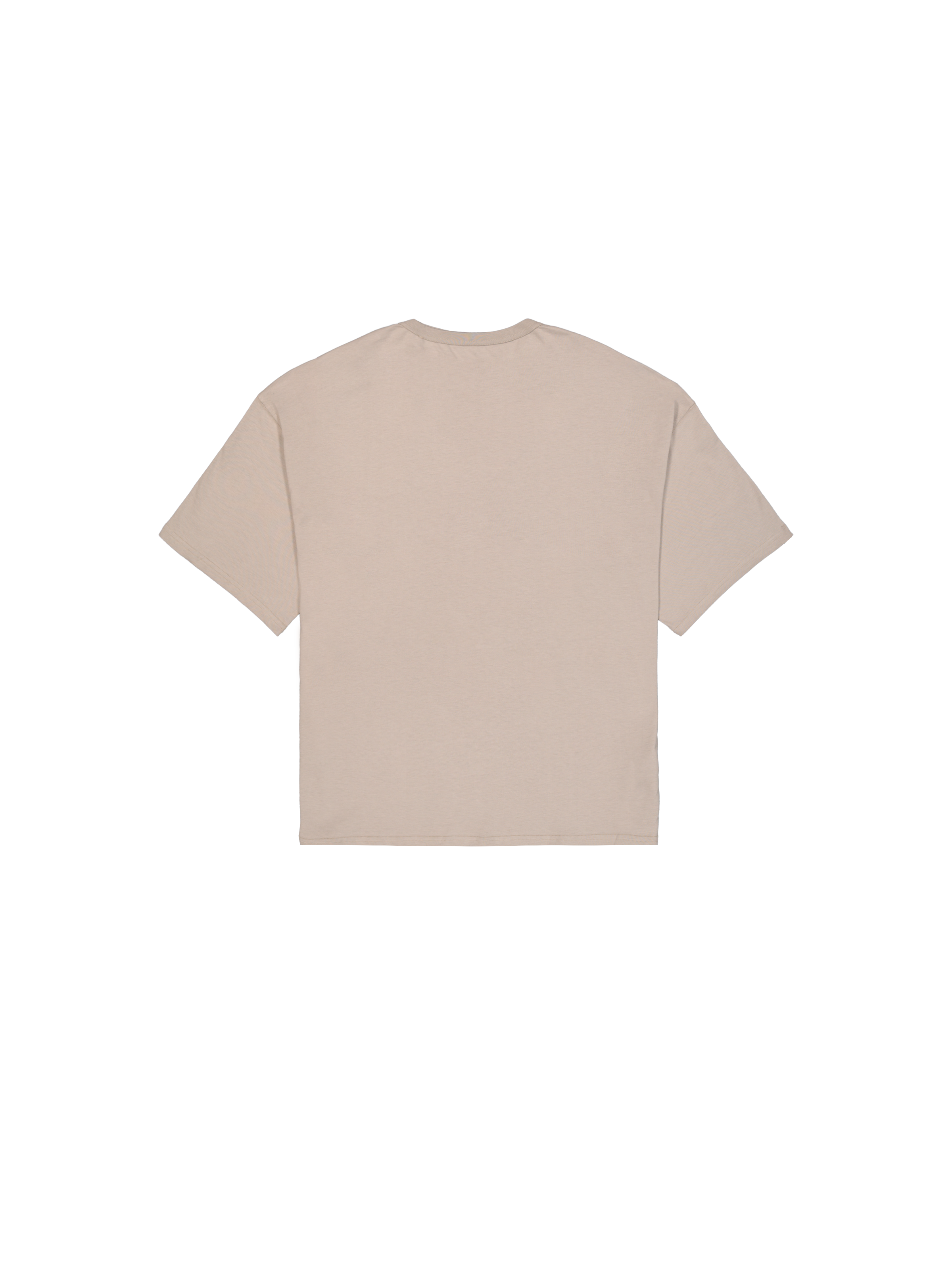 Alpha Essentials Rubber Logo T-Shirt vintage sand 146504_679__1_flatlay_00002_102586