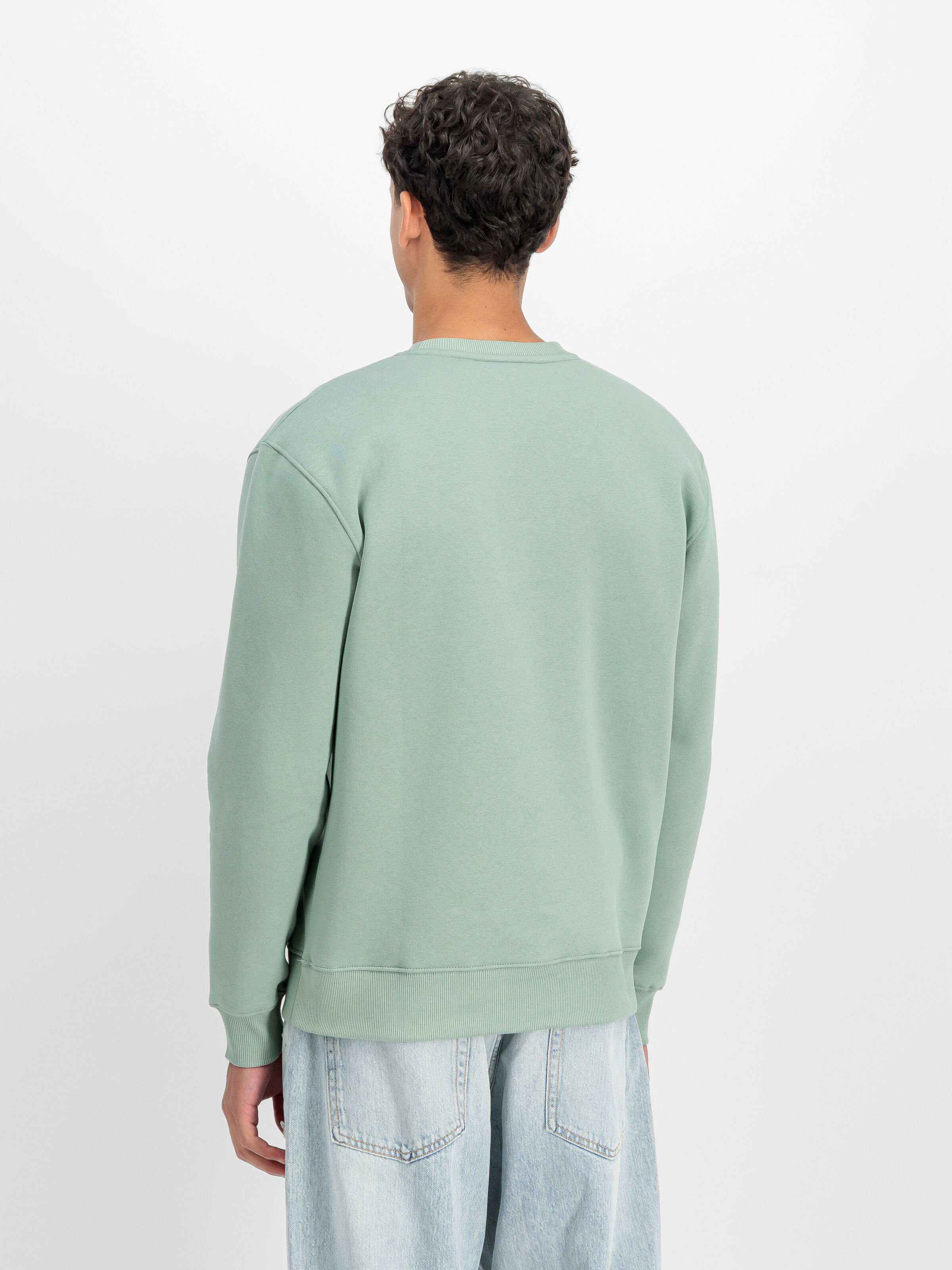 Basic Big Logo Sweatshirt frost green 178302_30_2_model_00003_196672