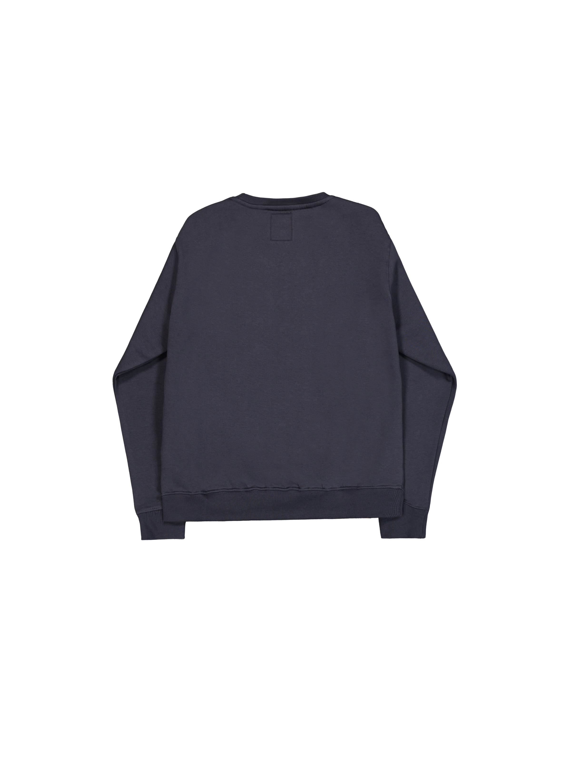 Basic Big Logo Sweatshirt navy 178302_02_1_flatlay_00002_187305