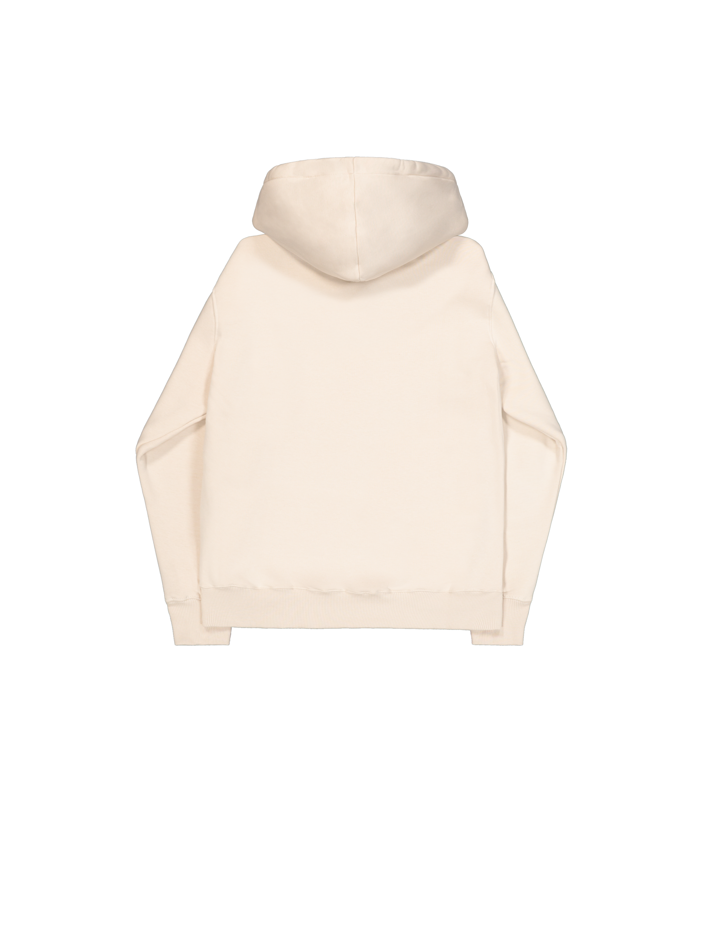 Basic Big Logo Hoodie jet stream white 178312_578_1_flatlay_00002_221403