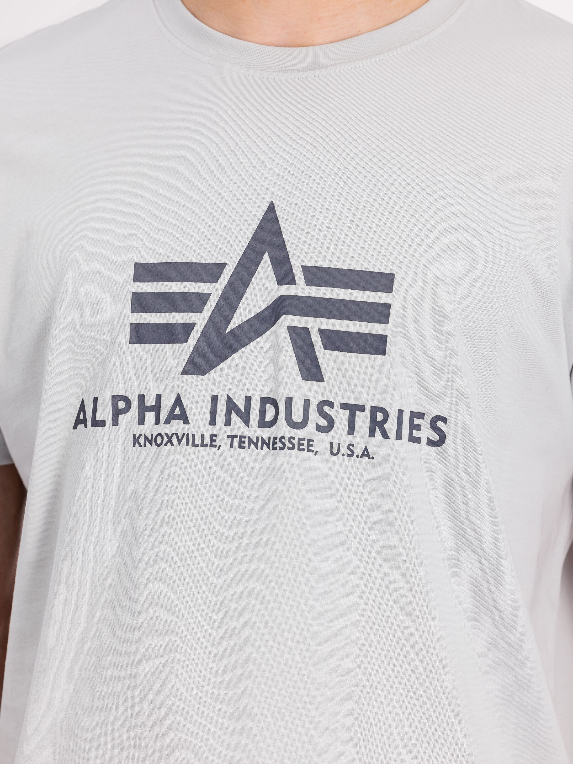 Basic Big Logo T-Shirt pastel grey 100501_666_3_detail_00001_125277