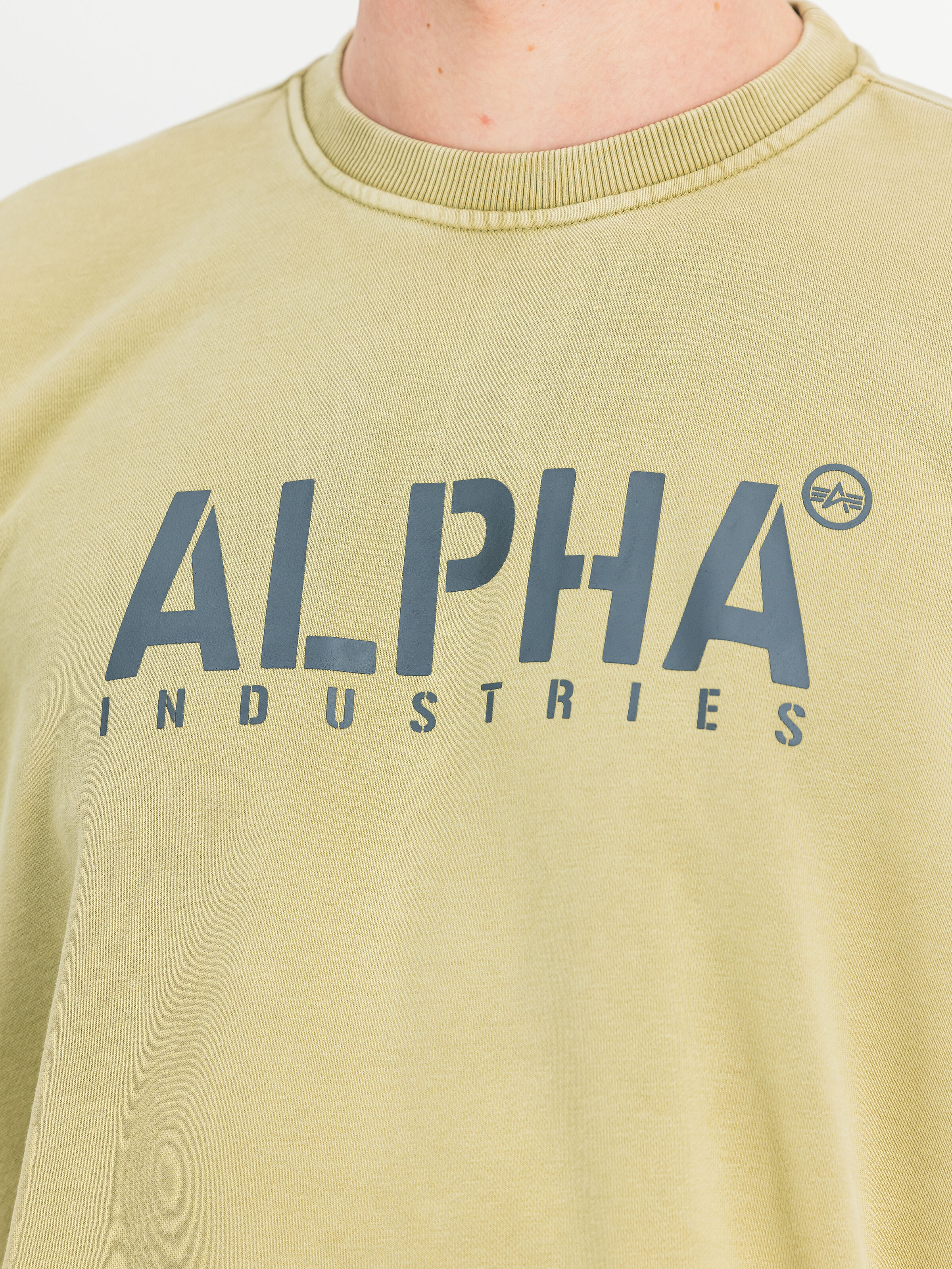 Alpha Stencil Sweatshirt light olive 266309_82_3_detail_00001_220123