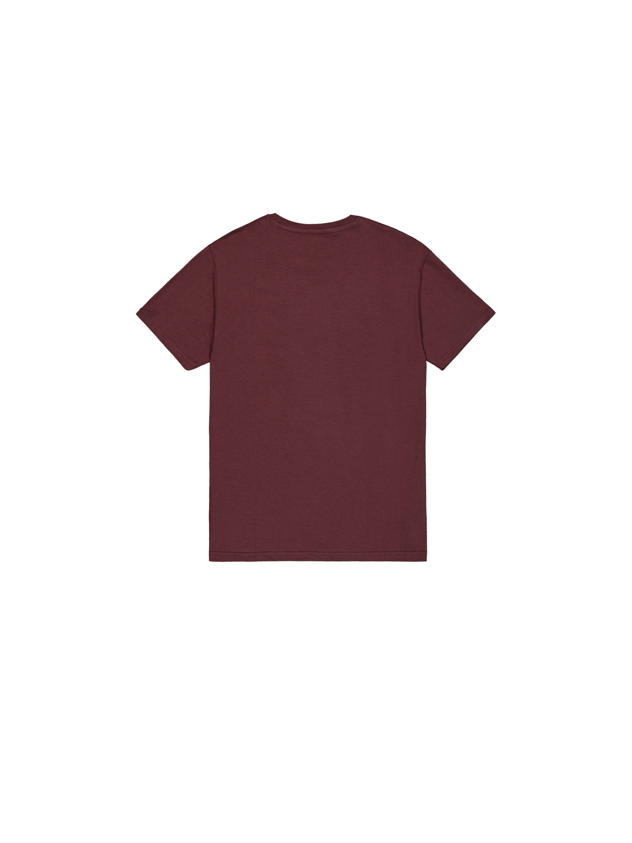 Basic Big Logo T-Shirt deep maroon 100501_21_1_flatlay_00002_185873