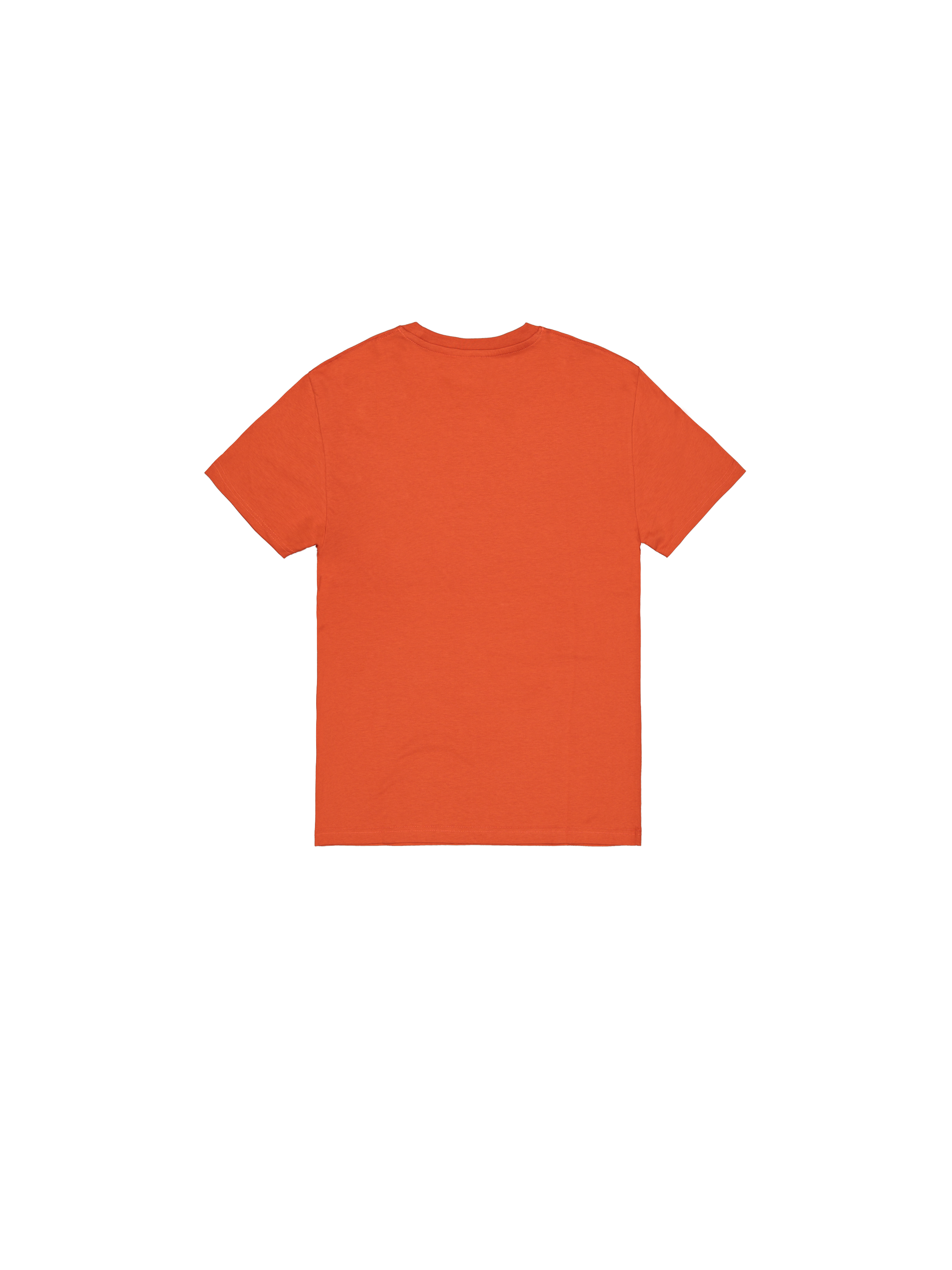 Basic Big Logo T-Shirt iron red 100501_639_1_flatlay_00002_200525