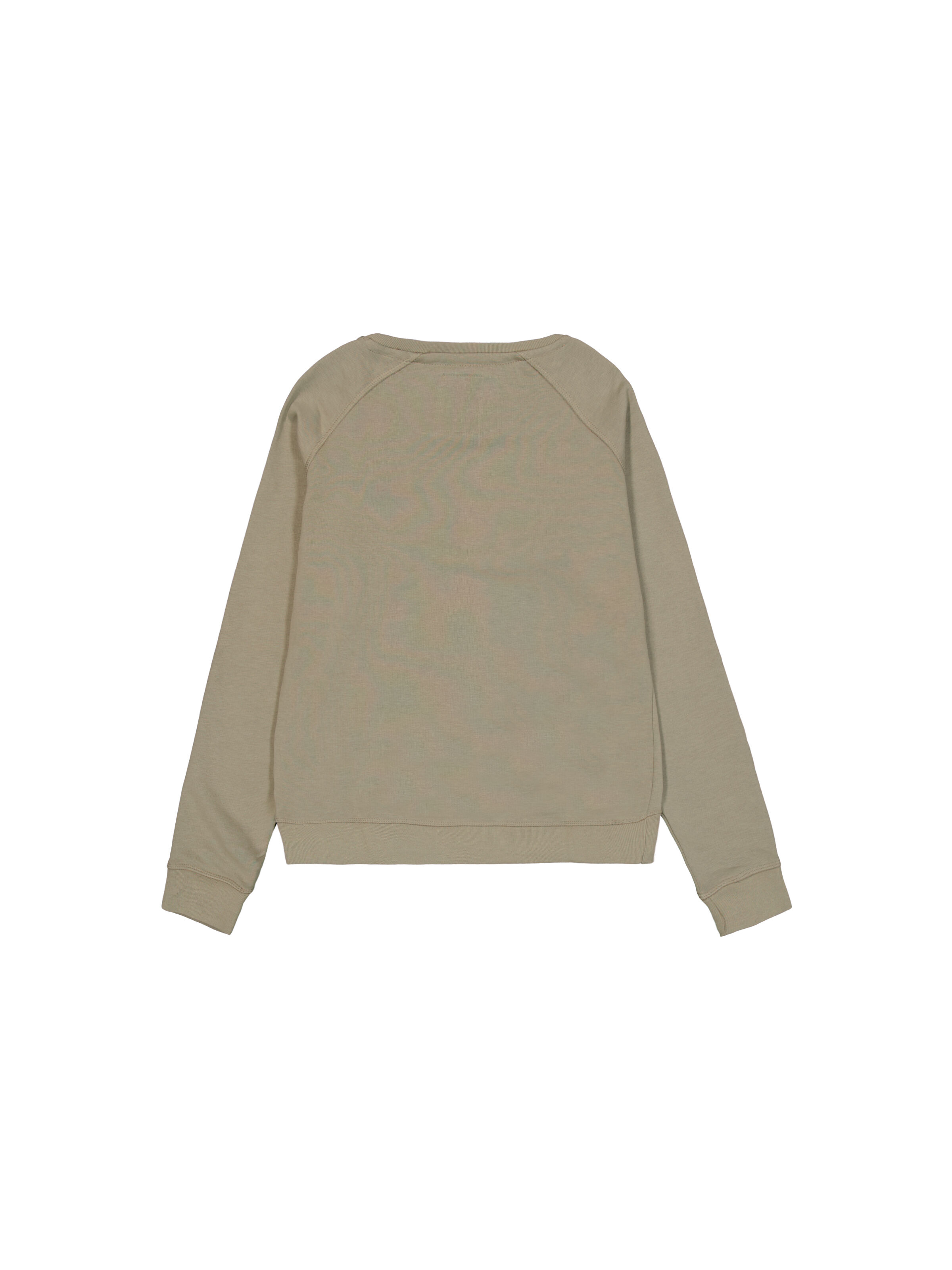 New Basic Big Logo Sweatshirt Women  olive 196031_11_00002_122228