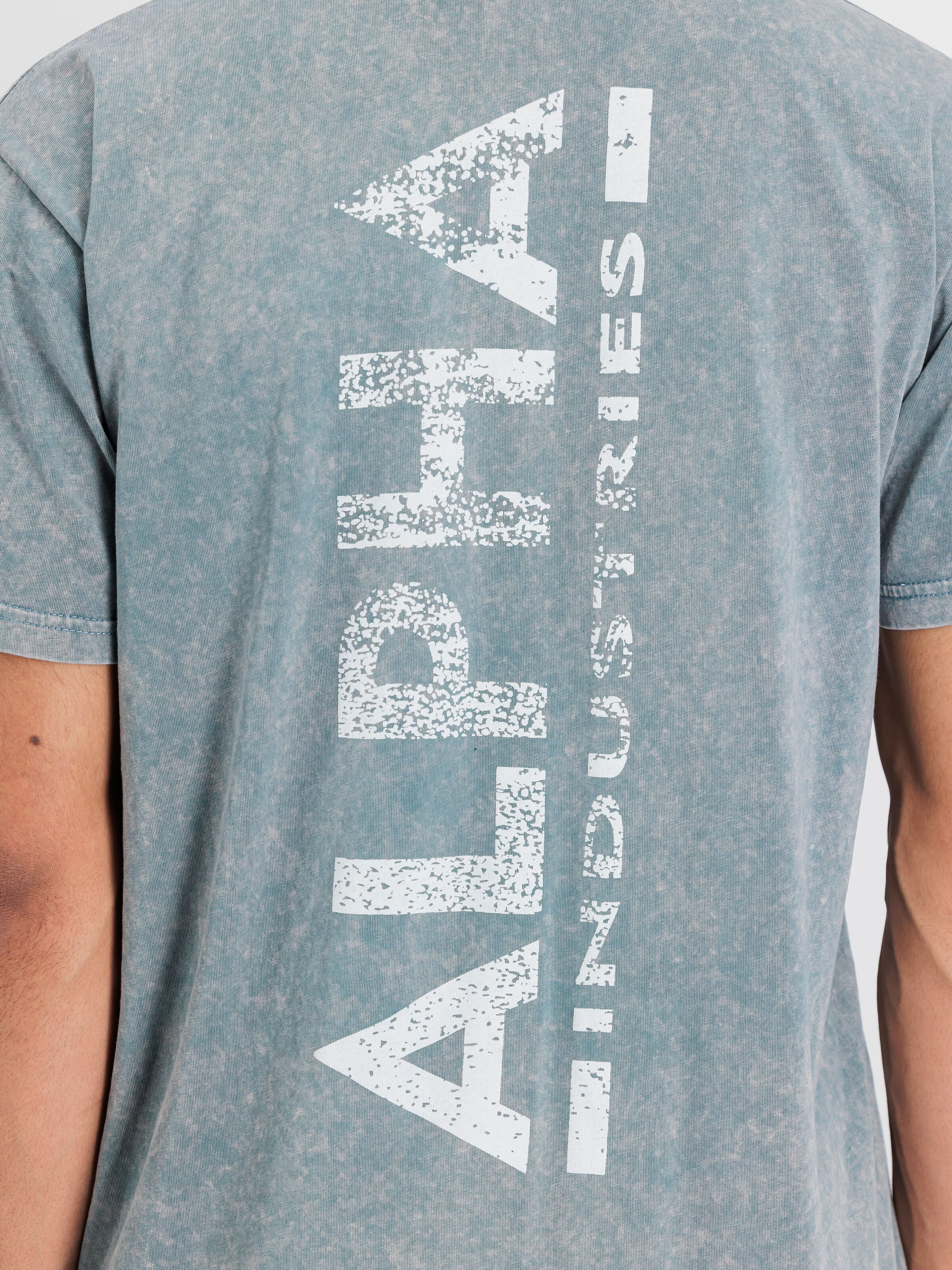 Vintage Backprint T-Shirt denim blue 258508V_439_3_detail_00002_163345