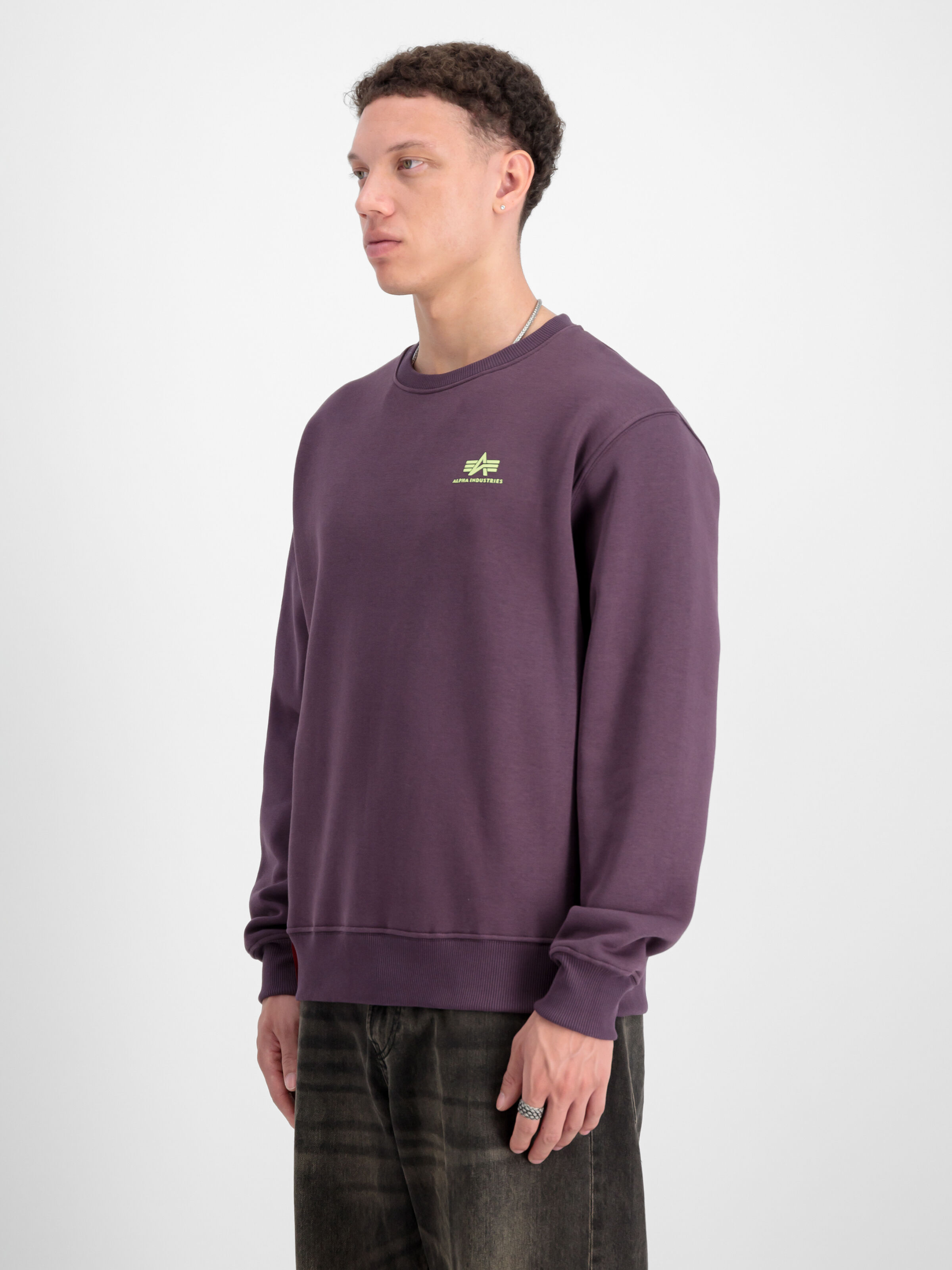 Basic Small Logo Sweatshirt Plum 188307_719_2_model_00003_97394
