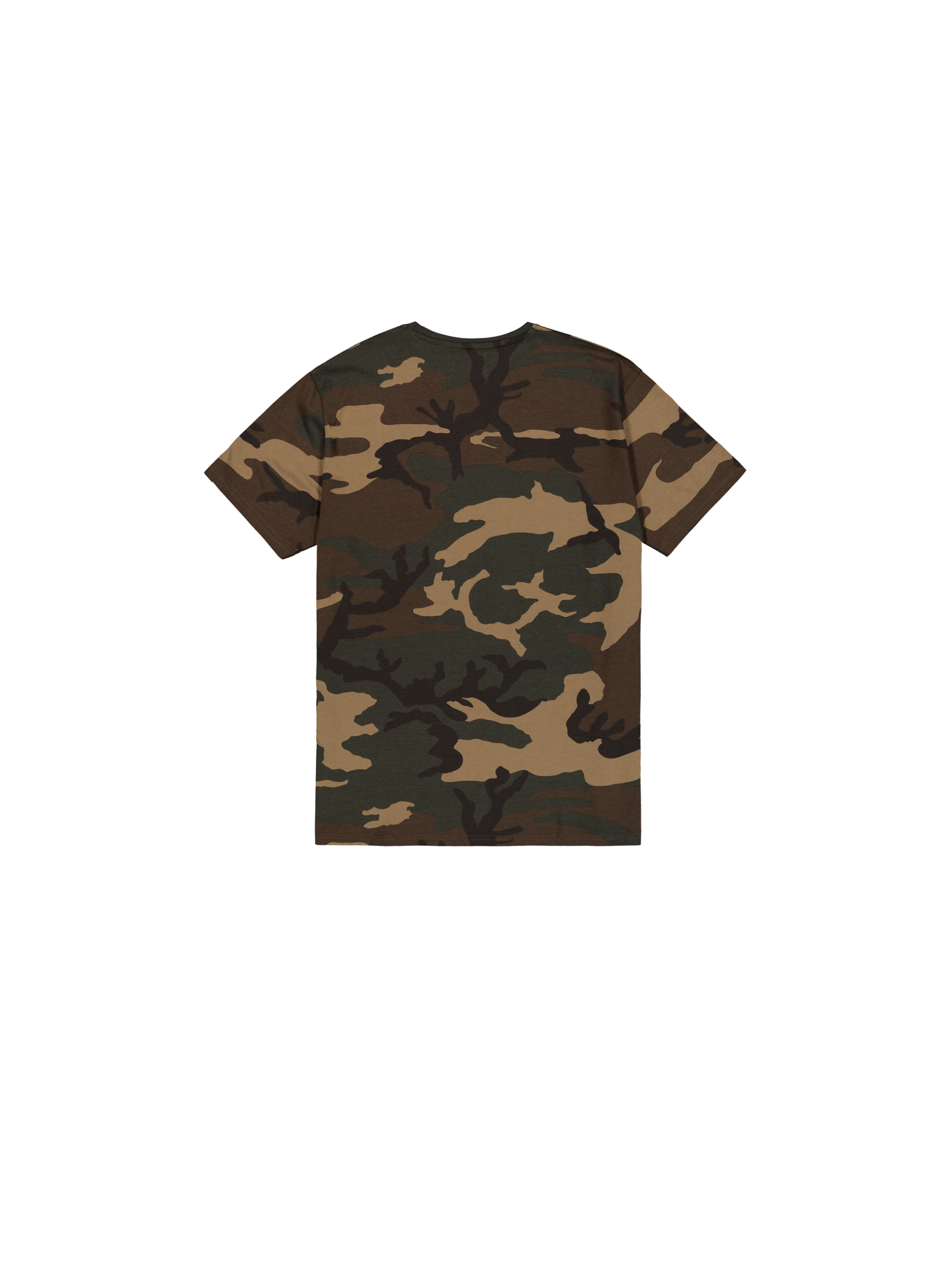 Basic Big Logo Camo T-Shirt wdl camo 65 100501C_408_1_flatlay_00002_195701