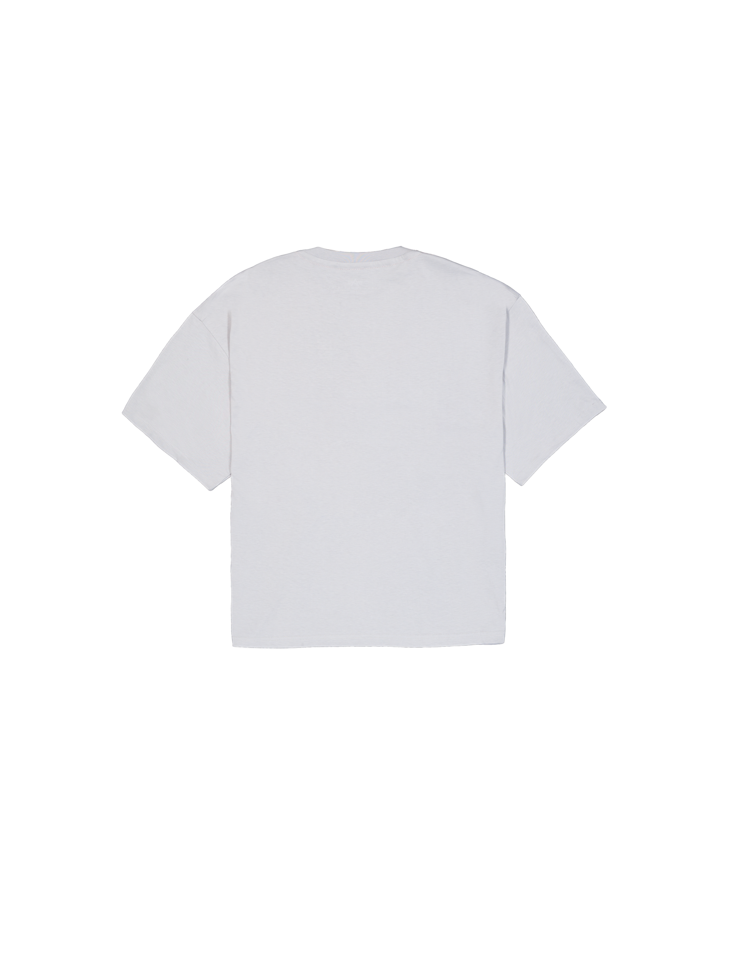 Logo Edge T-Shirt pastel grey 148507_666_1_flatlay_00002_102736