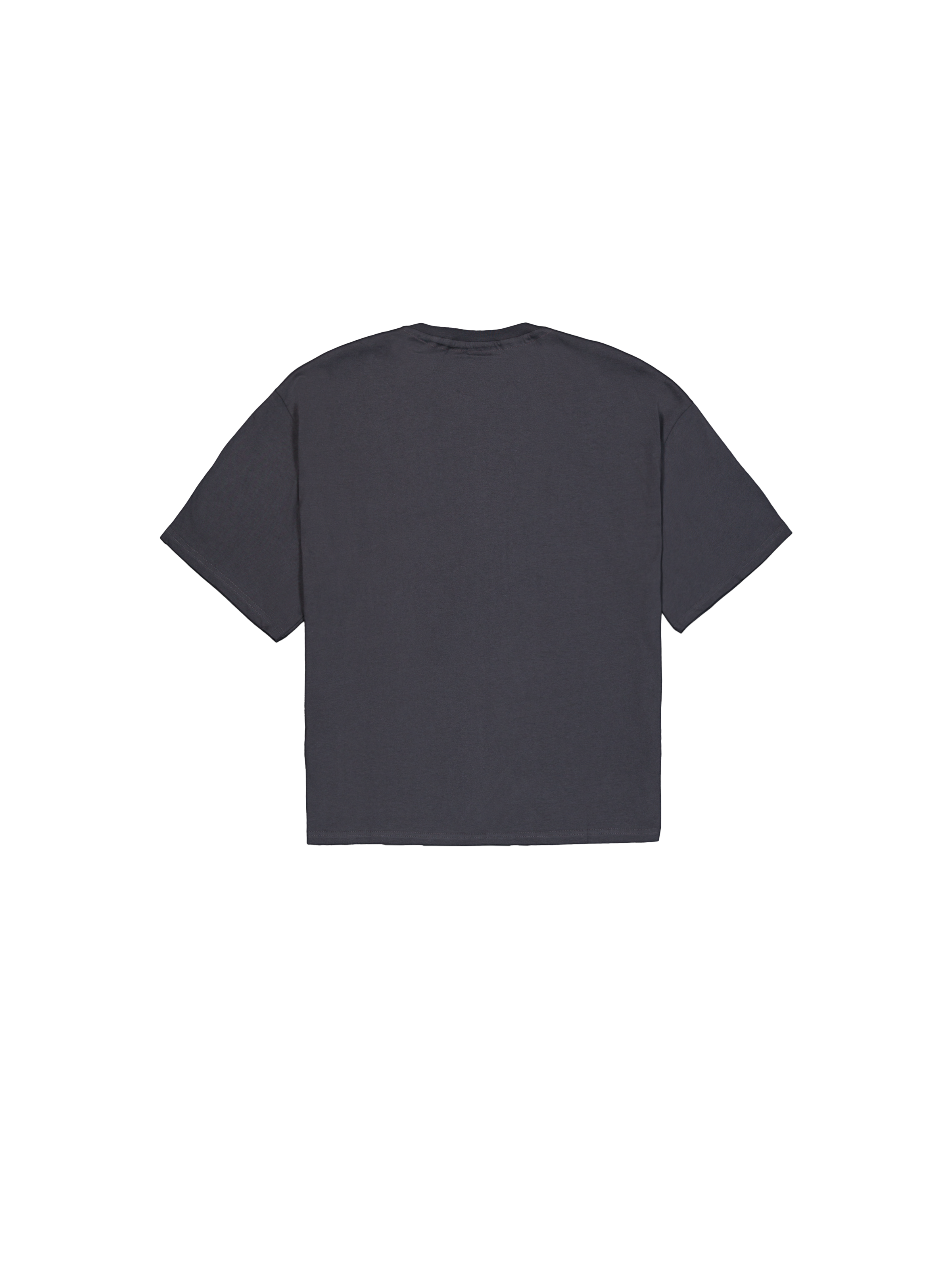 Logo Edge T-Shirt vintage grey 148507_684_1_flatlay_00002_102738