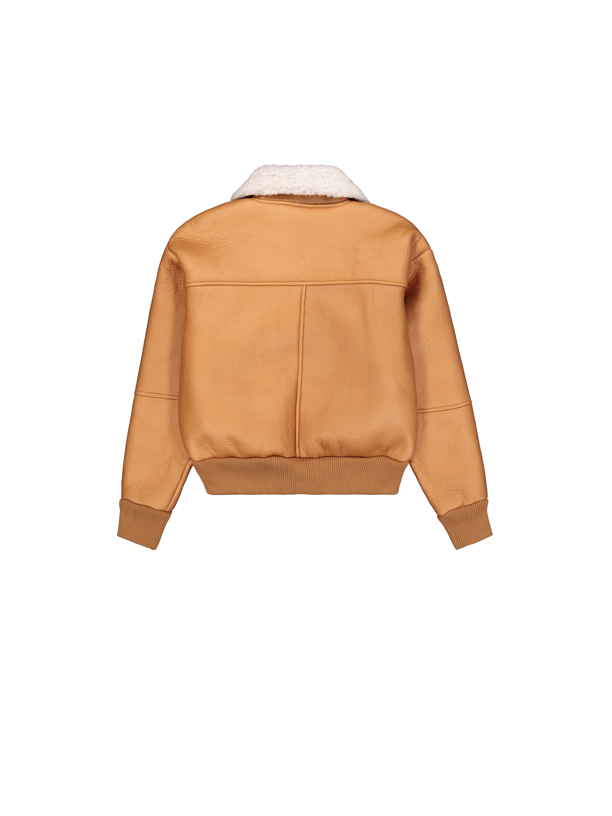 B-15 Modified Winter Jacket Women camel 258007_370_1_flatlay_00002_166619
