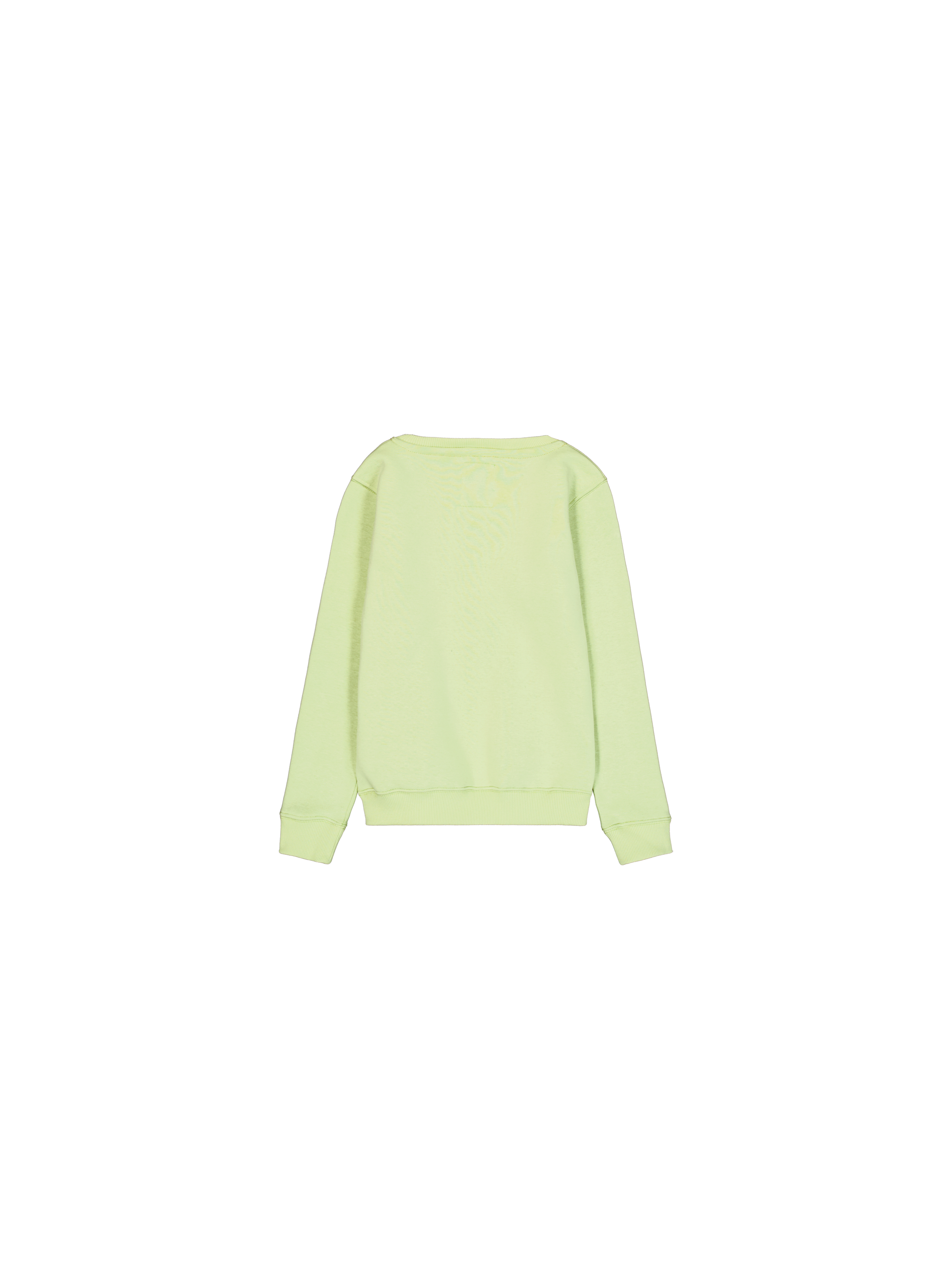 Basic Big Logo Sweatshirt Kids Arctic Lime 198703_722_1_flatlay_00002_96829