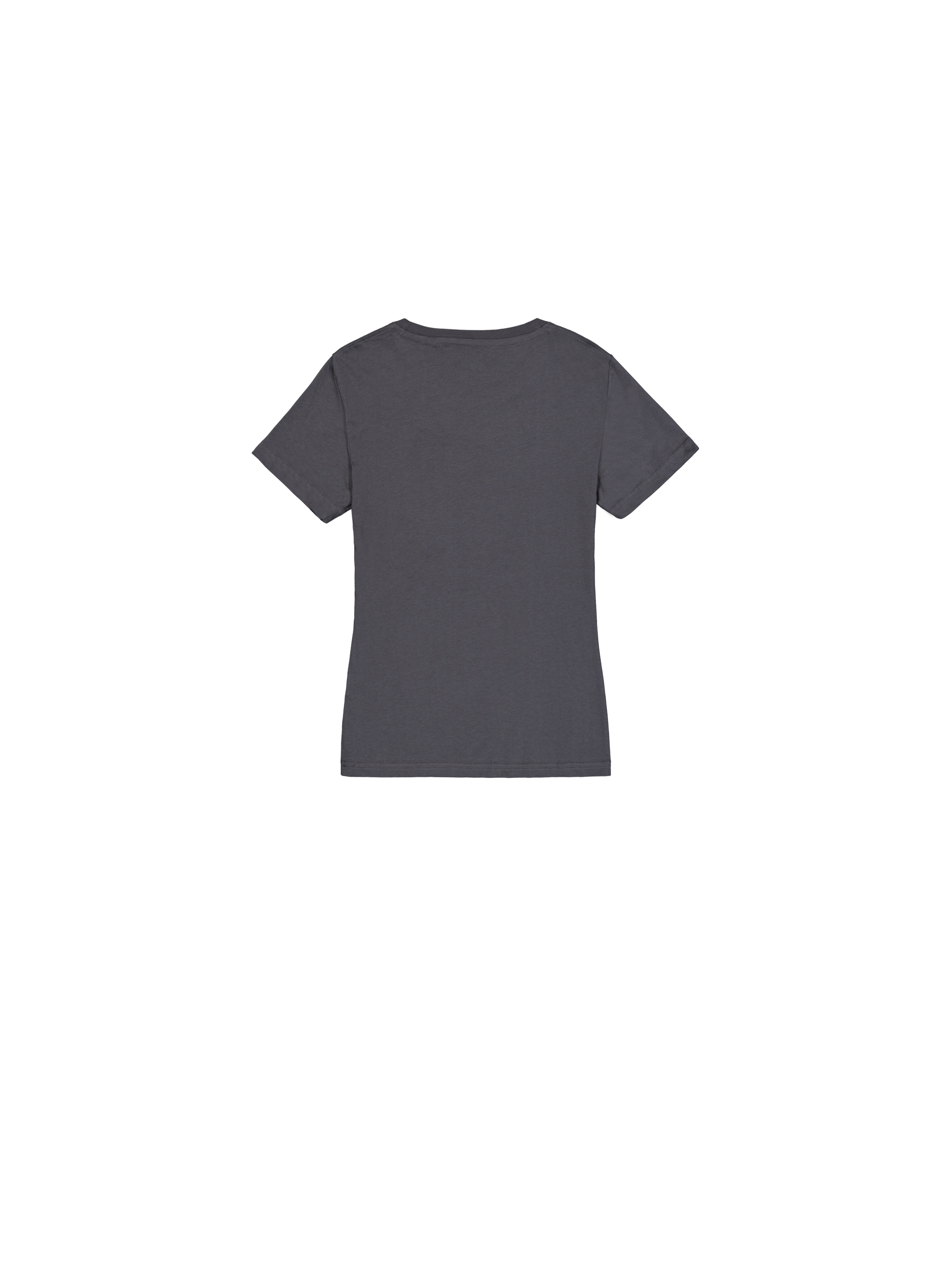 New Basic Big Logo T-Shirt Women vintage grey 196051_684_1_flatlay_00002_104246