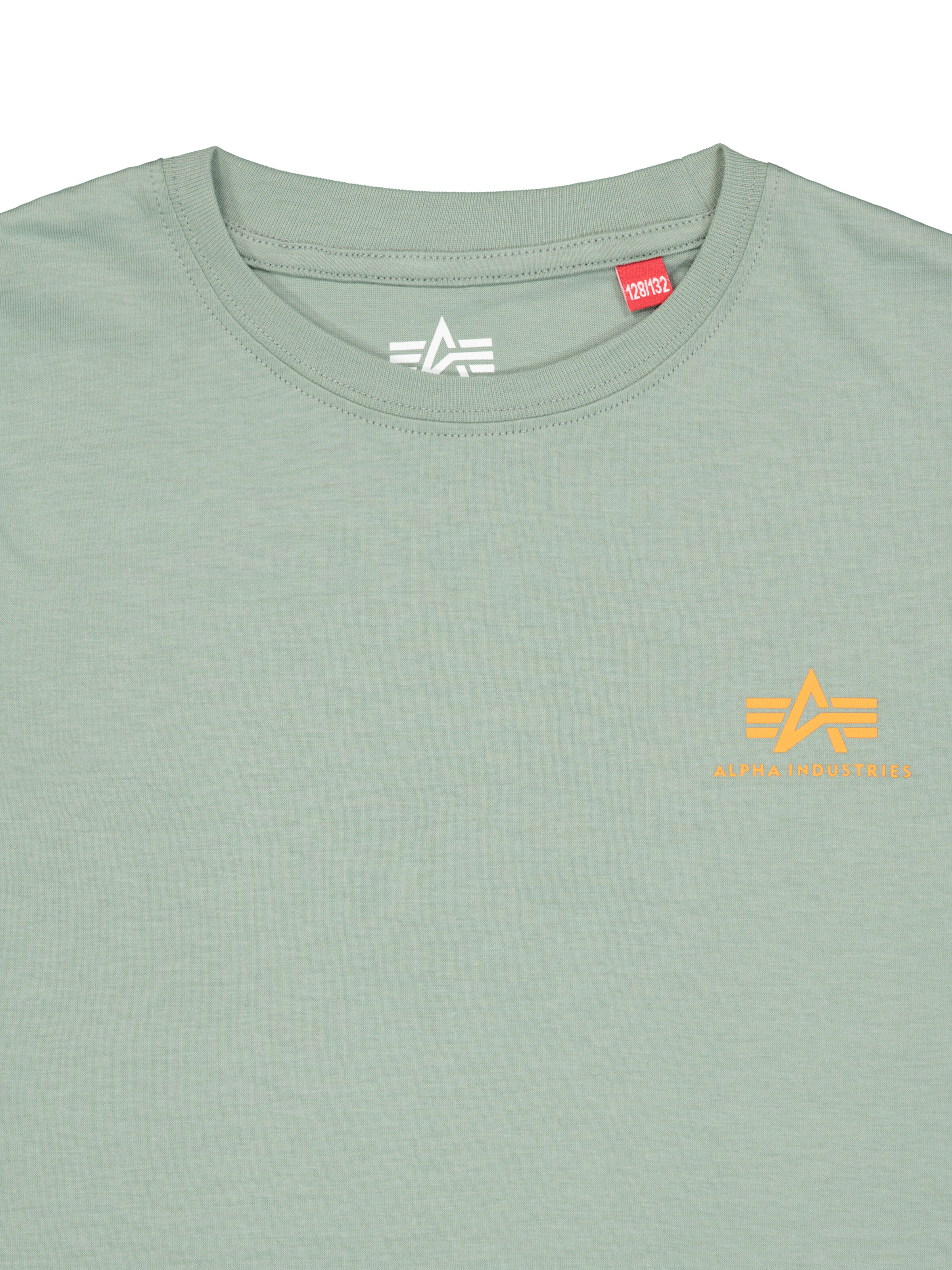 Basic Small Logo T-Shirt Kids frost green 196704_30_3_detail_00001_195782