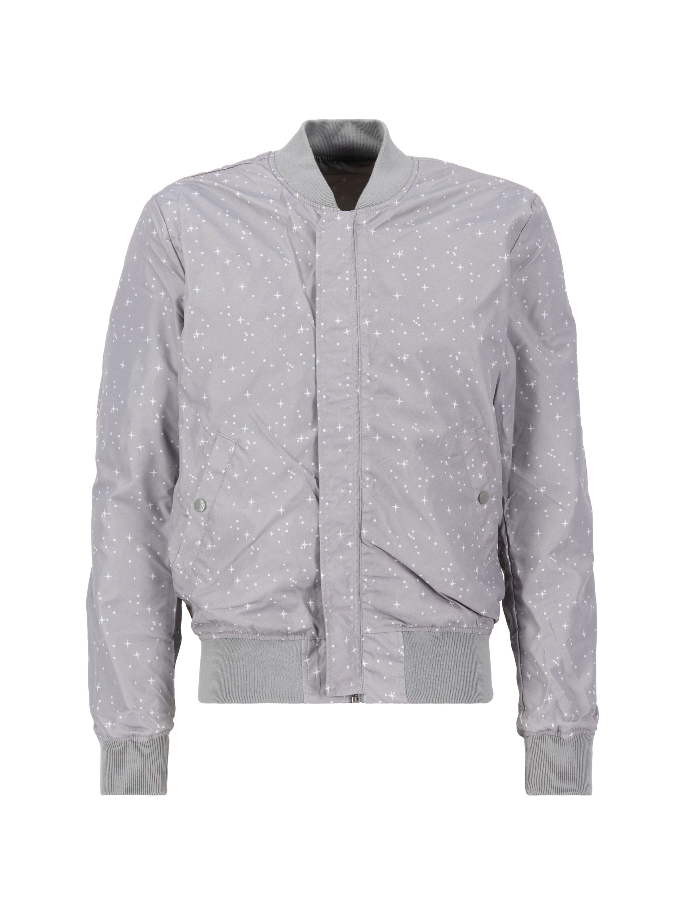 MA-1 TT Two Tone NASA Reversible II Bomber Jacket silver 186101_31_003_182182
