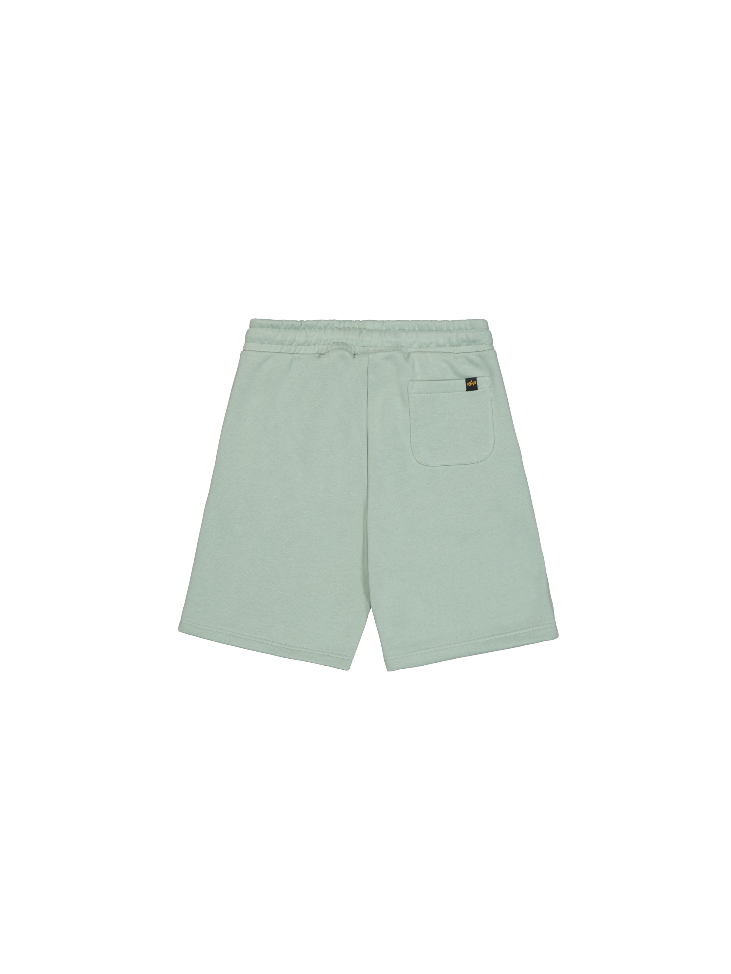 Basic Small Logo II Short frost green 156367_30_1_flatlay_00002_176696