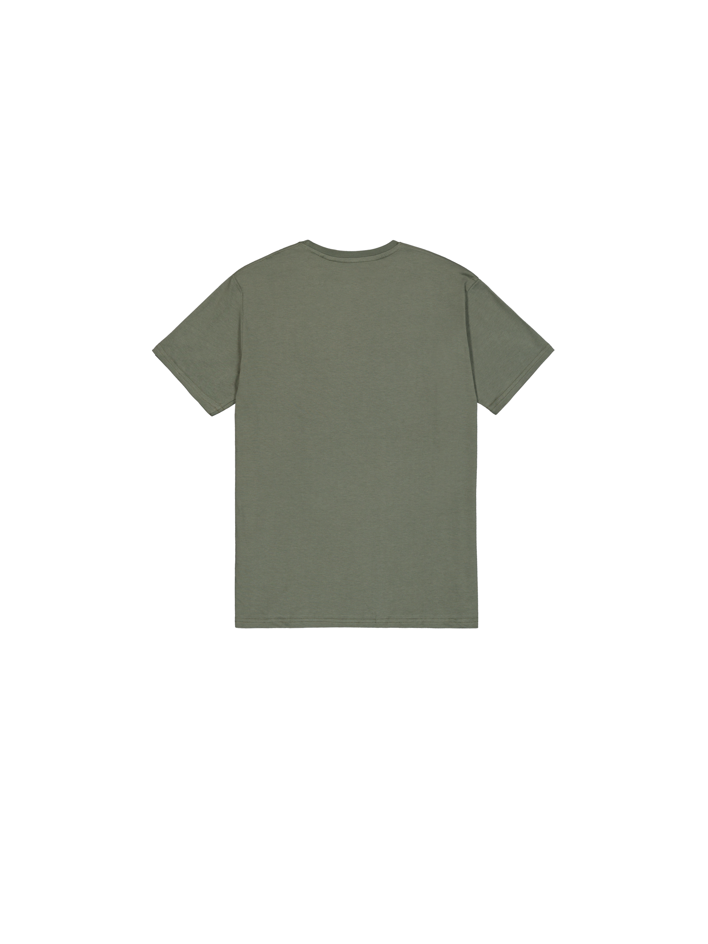 Basic Big Logo T-Shirt vintage green 100501_432_1_flatlay_00002_185997