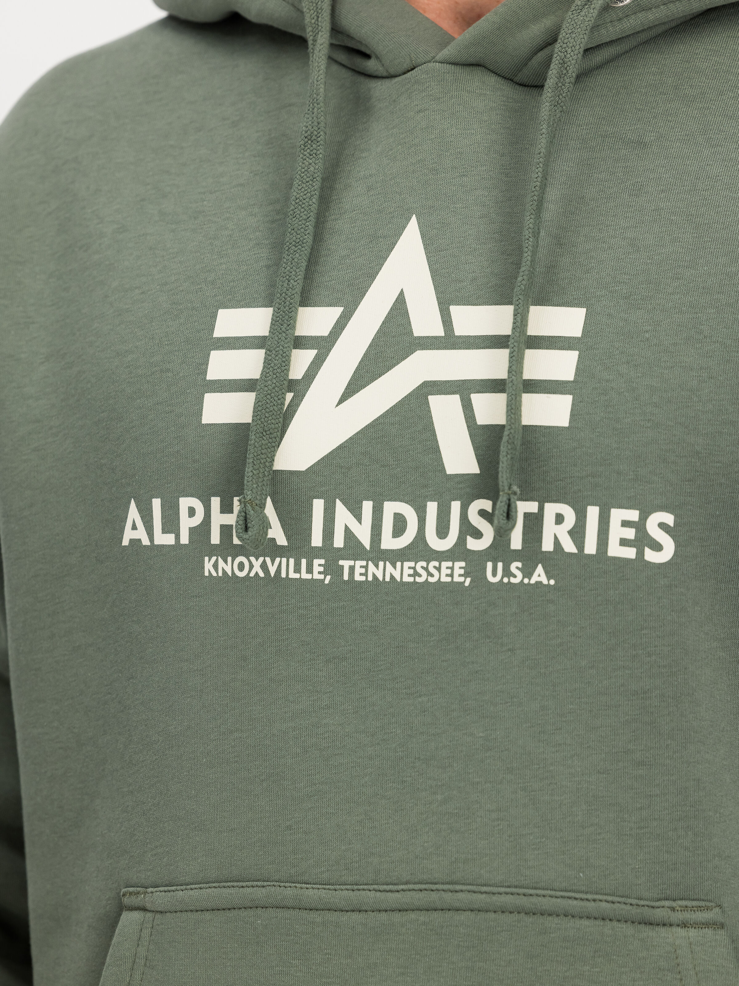 Basic Big Logo Hoodie vintage green 178312_432_3_detail_00001_191411