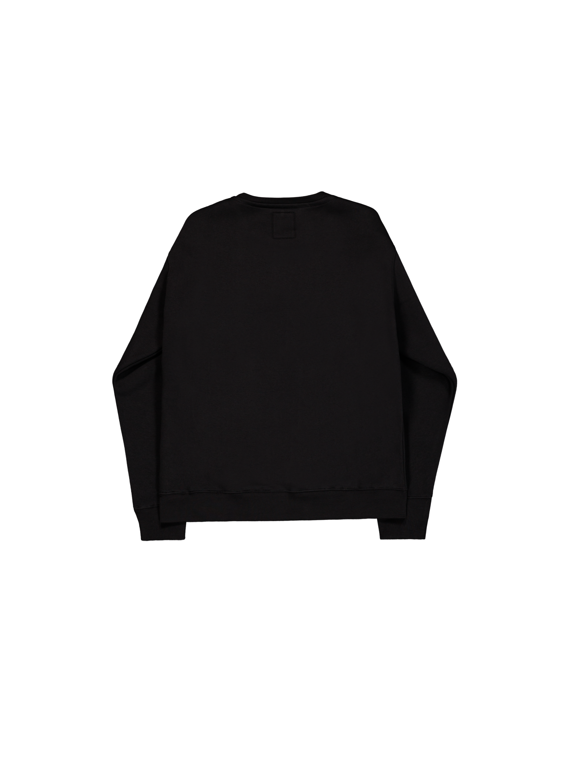 Alpha Label Sweatshirt black 118312_03_1_flatlay_00002_187994