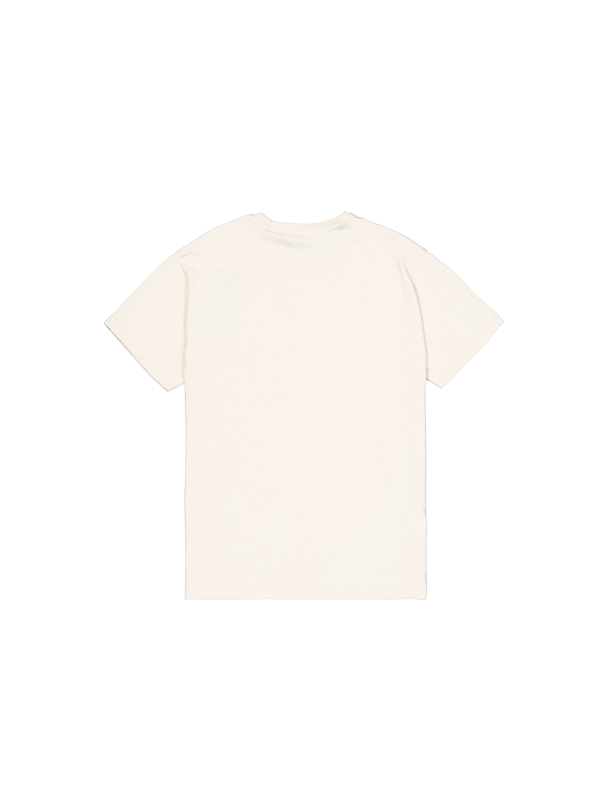 Basic Big Logo Carbon T-Shirt vintage white 100501CB_300_1_flatlay_00002_117861