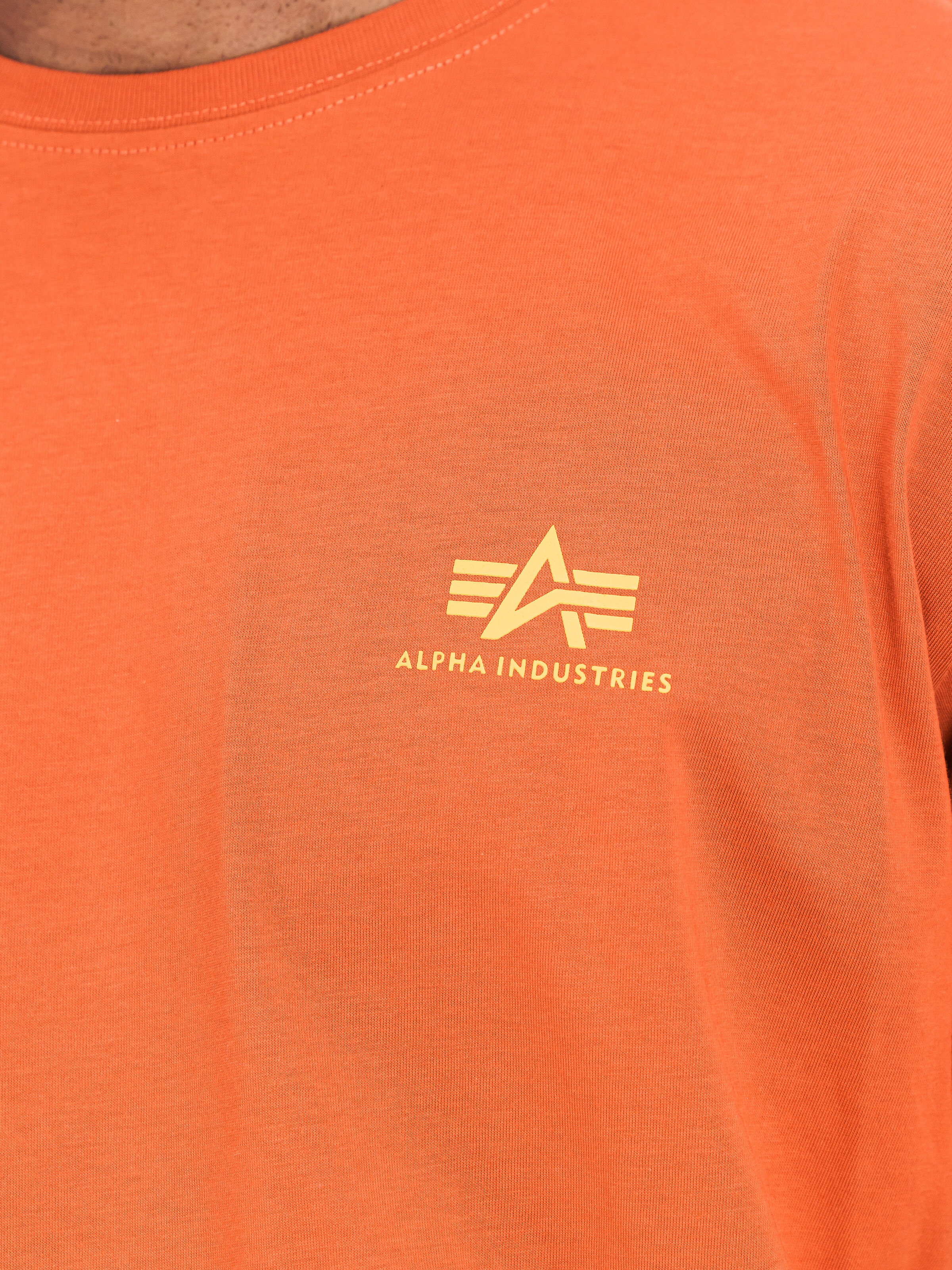 Basic Small Logo T-Shirt iron red 188505_639_3_detail_00001_226804
