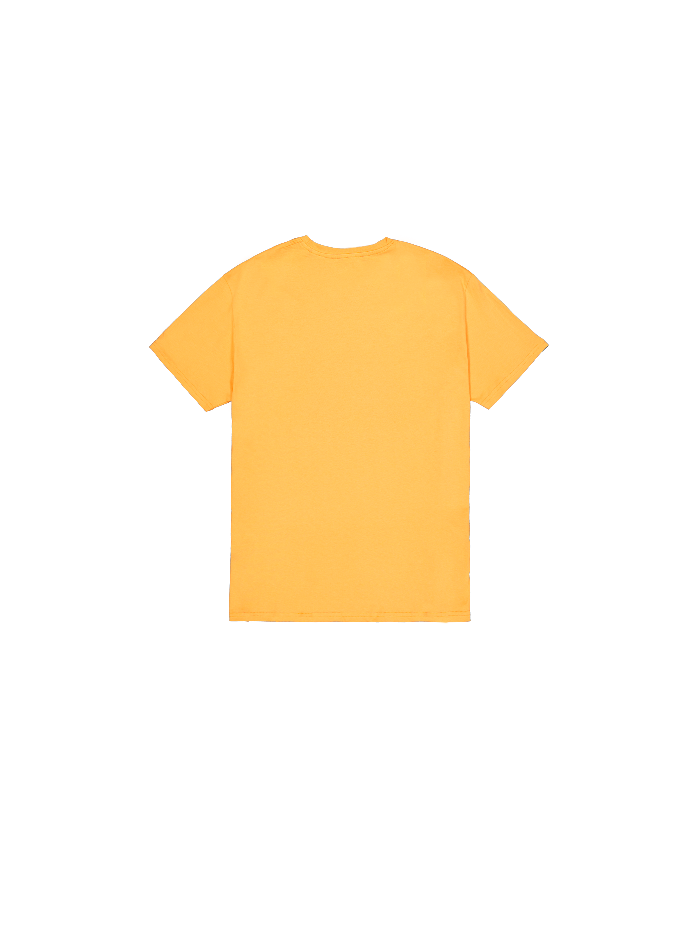 Basic Small Logo T-Shirt tangerine 188505_710_1_flatlay_00002_223140