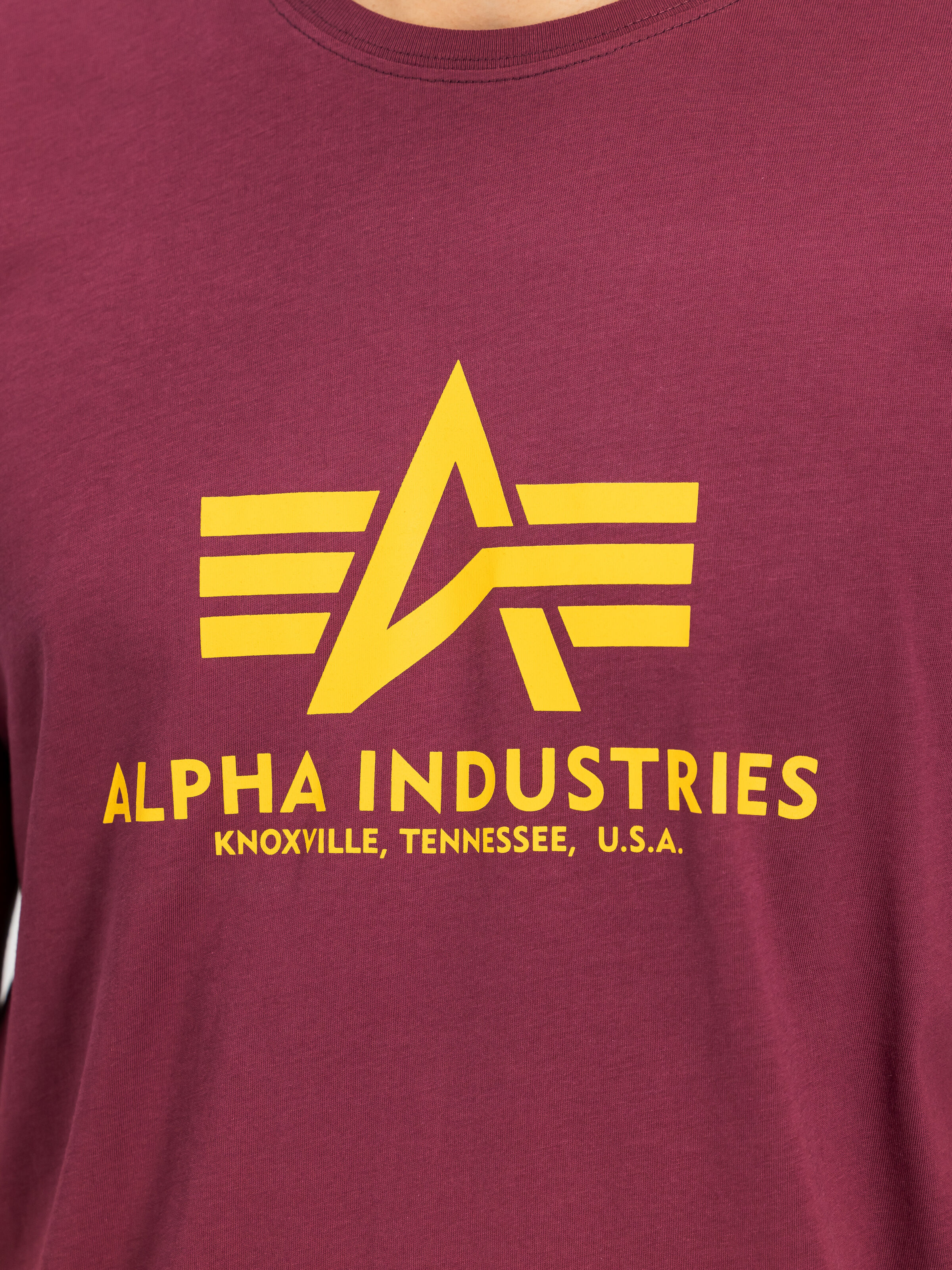 Basic Big Logo T-Shirt burgundy 100501_184_3_detail_00001_184412