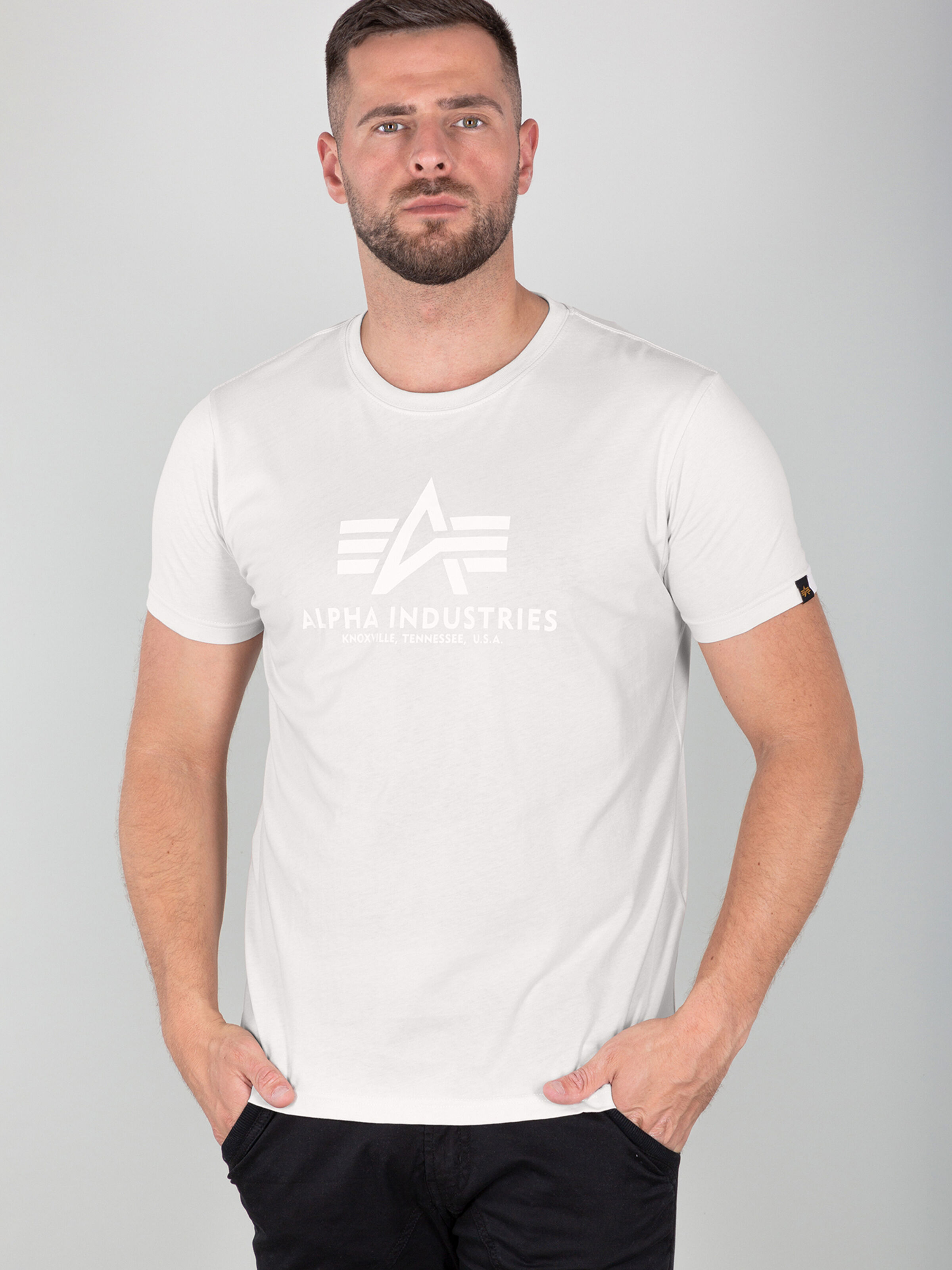 Basic Big Logo T-Shirt jet stream white/white 100501_625_alpha_industries_basic_t_001_182753