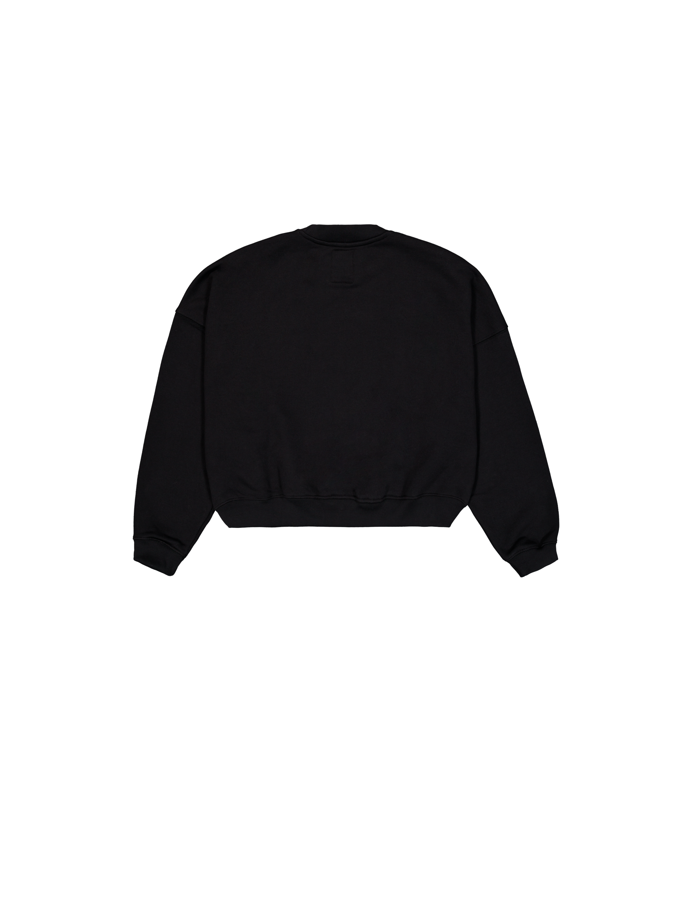 Alpha Essentials Rubber Logo Sweatshirt Women black 146030_03_1_flatlay_00002_98237