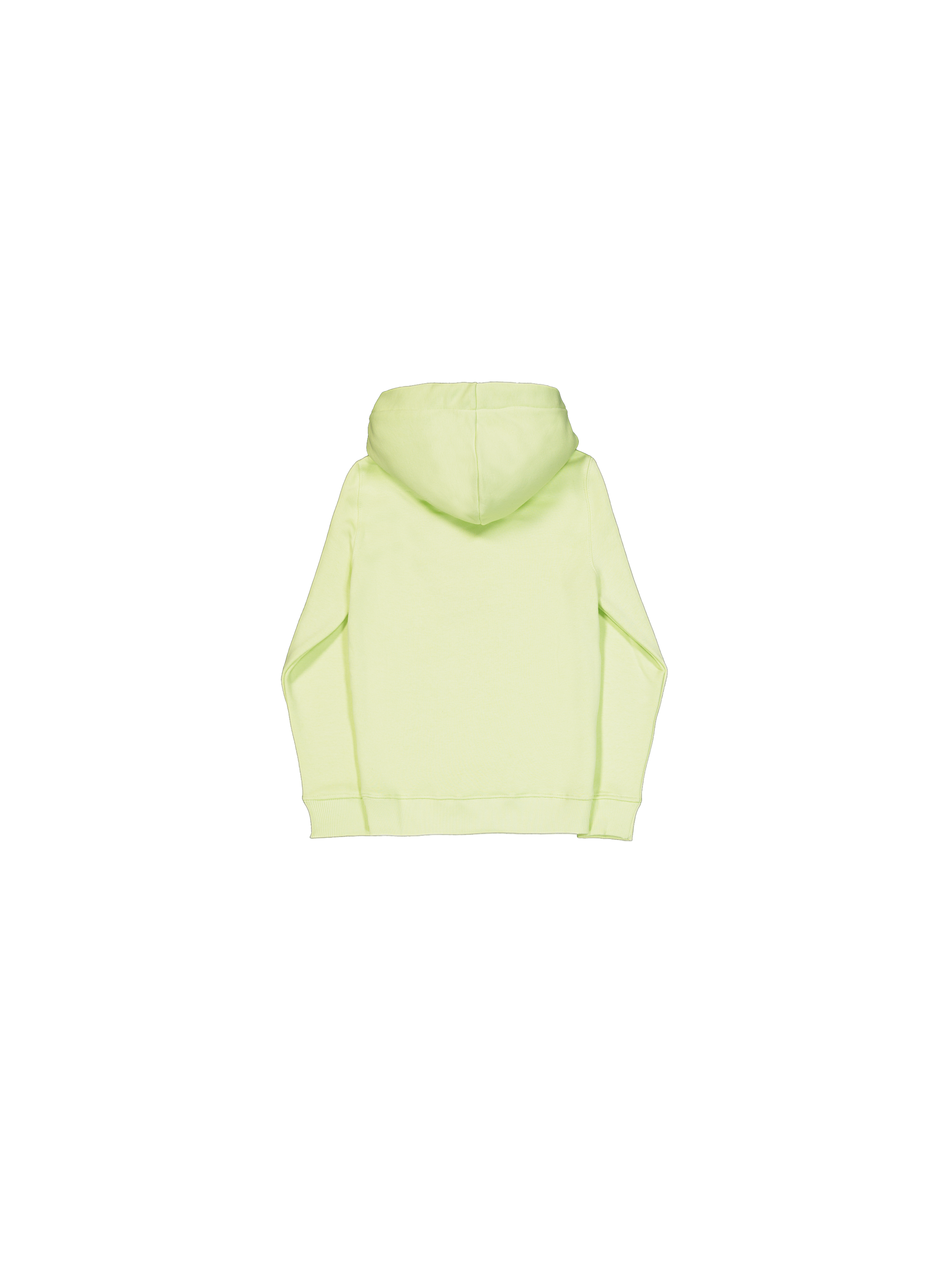 Basic Big Logo Hoodie Kids Arctic Lime 196701_722_1_flatlay_00002_102433
