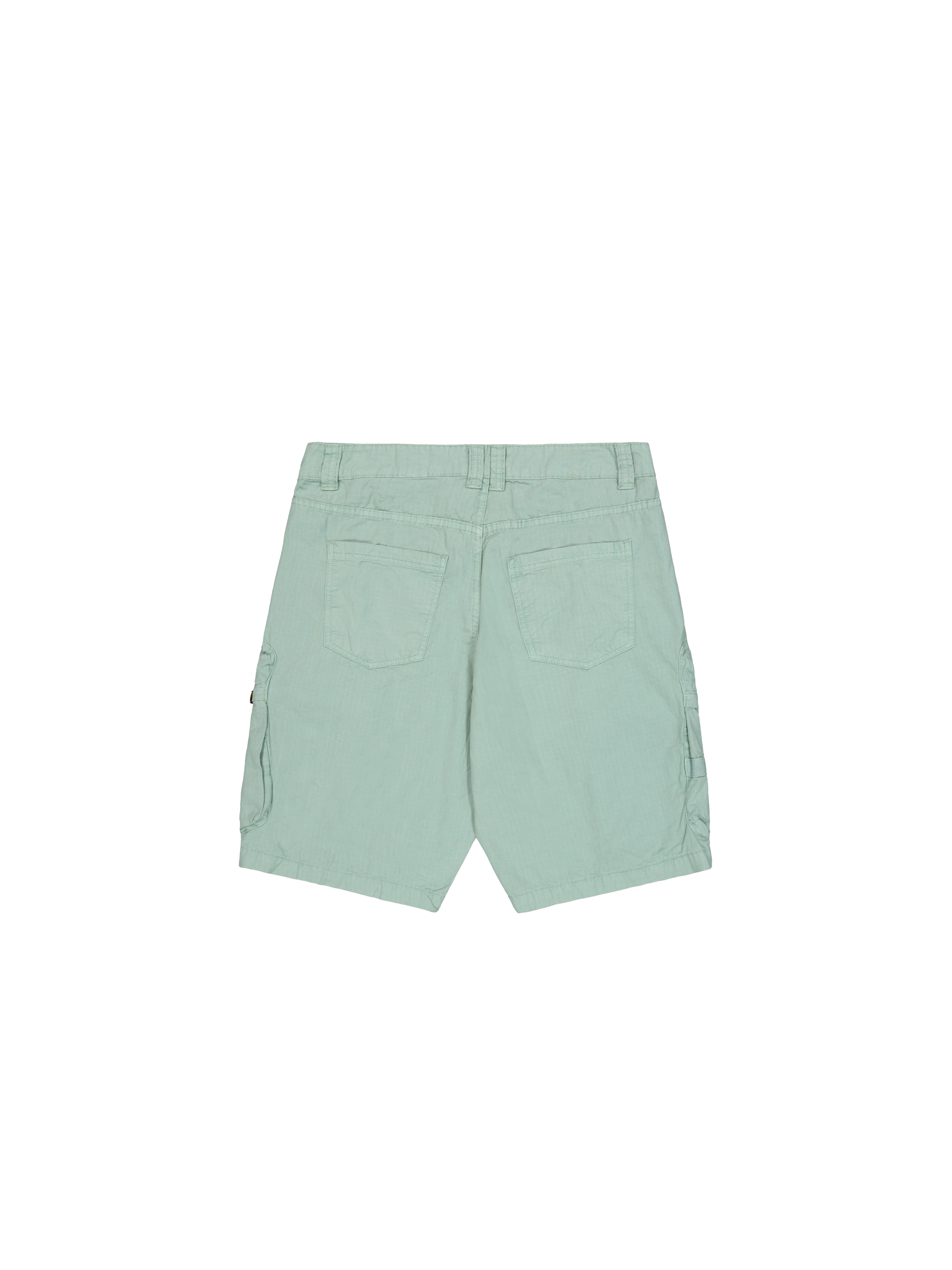 Manoeuvre Short frost green 266258_30_1_flatlay_00002_180671