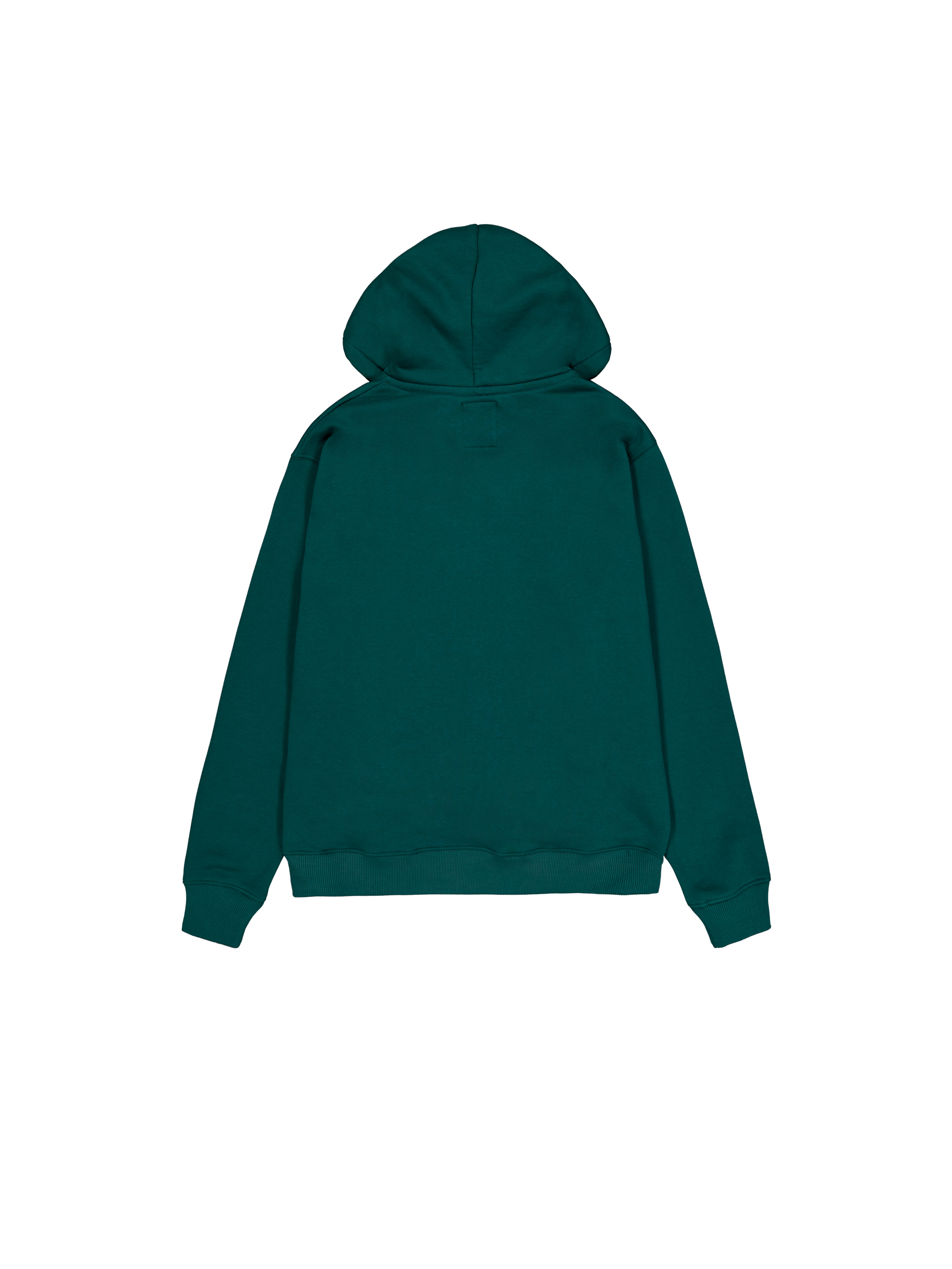 Basic Big Logo Hoodie Force Green 178312_720_1_flatlay_00002_133254
