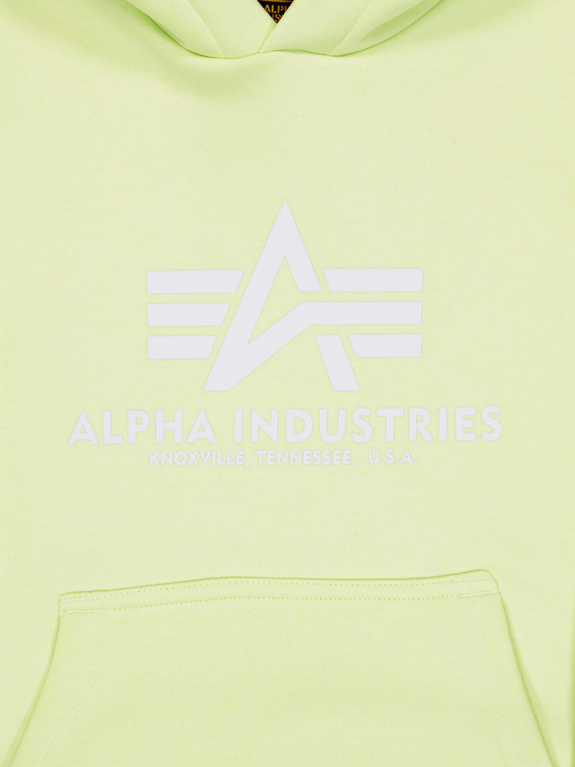 Basic Big Logo Hoodie Kids Arctic Lime 196701_722_3_detail_00001_102434