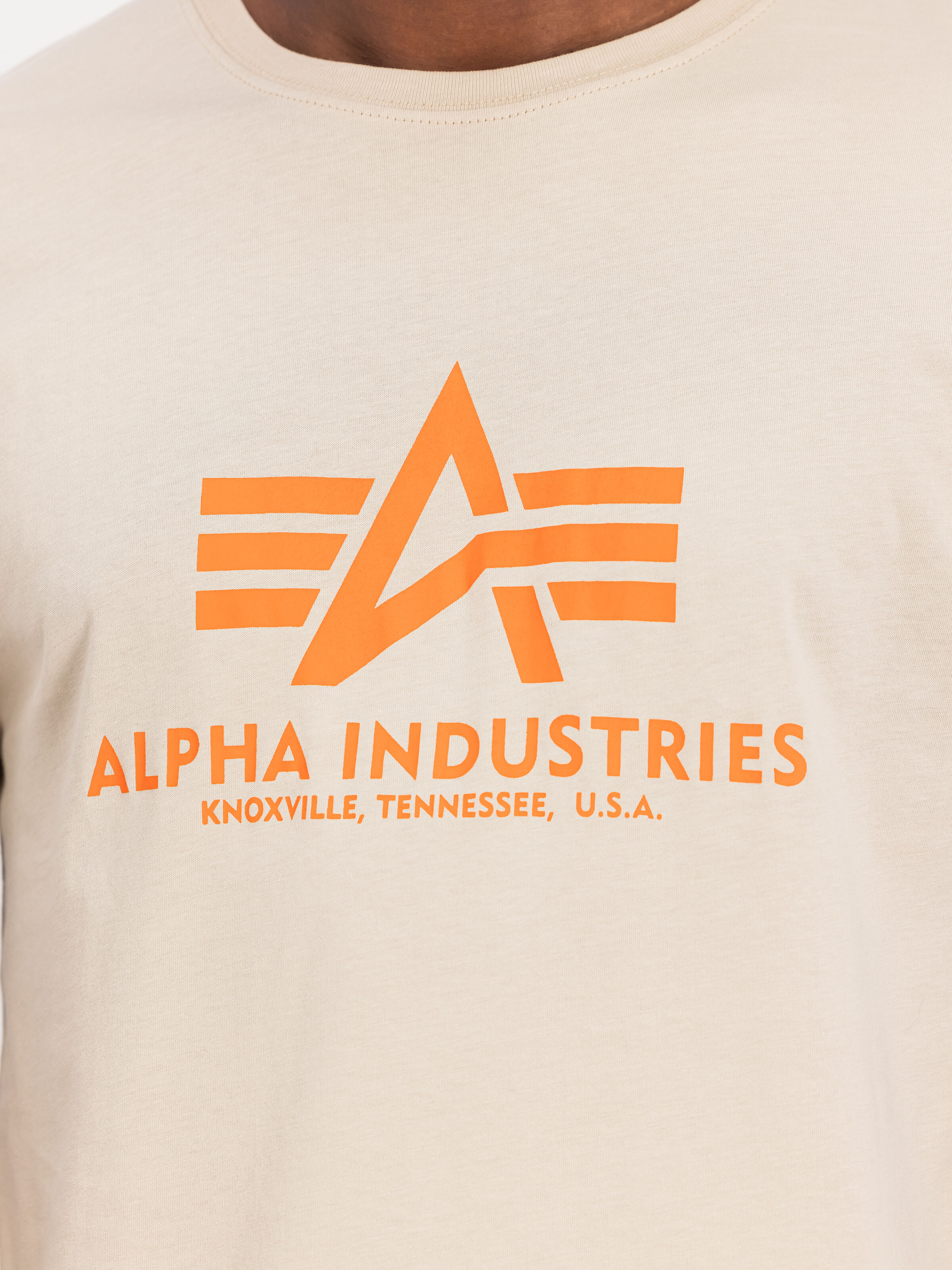 Basic Big Logo T-Shirt organic beige 100501_627_3_detail_00001_159819